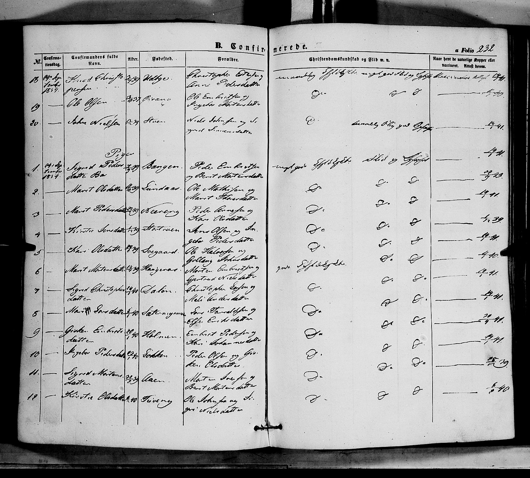 Tynset prestekontor, AV/SAH-PREST-058/H/Ha/Haa/L0020: Parish register (official) no. 20, 1848-1862, p. 232