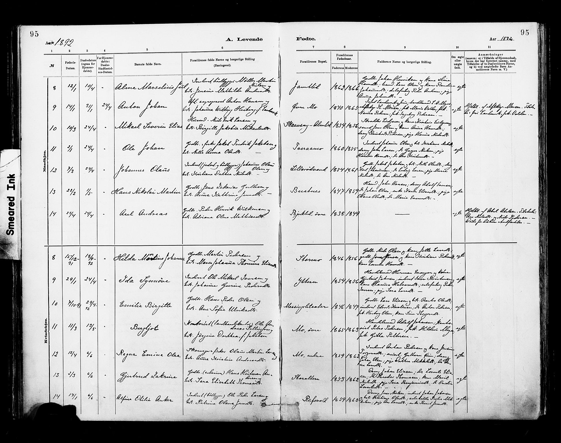 Ministerialprotokoller, klokkerbøker og fødselsregistre - Nordland, AV/SAT-A-1459/827/L0400: Parish register (official) no. 827A12, 1883-1903, p. 95