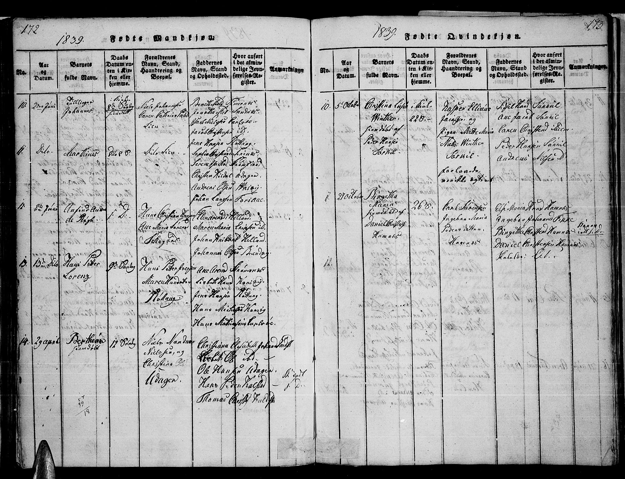 Ministerialprotokoller, klokkerbøker og fødselsregistre - Nordland, AV/SAT-A-1459/859/L0855: Parish register (copy) no. 859C01, 1821-1839, p. 172-173