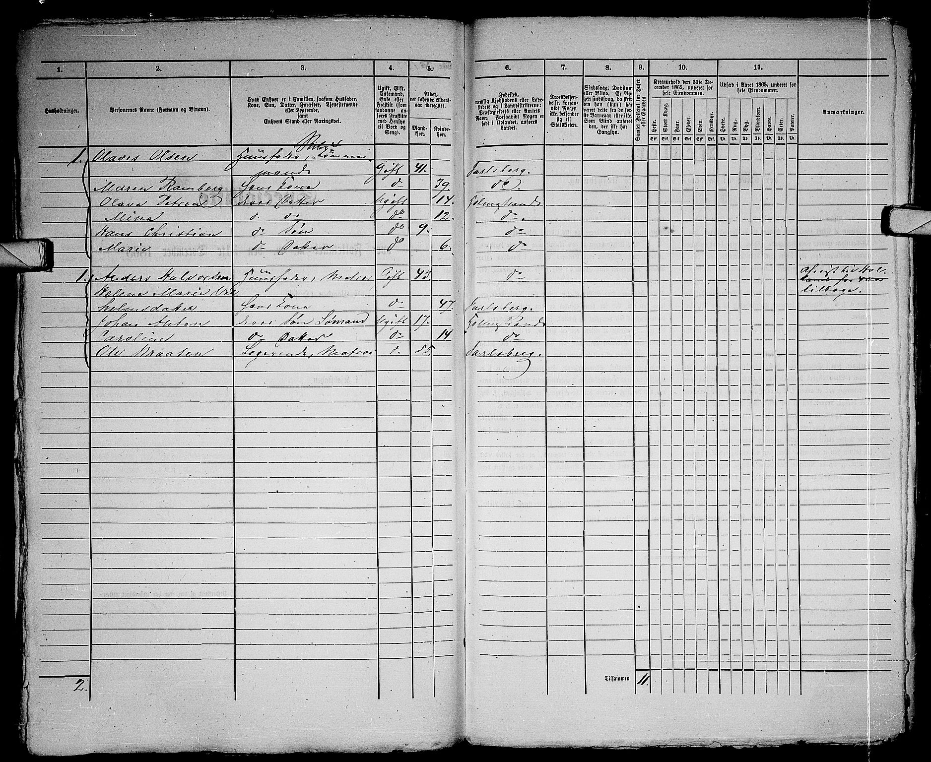 RA, 1865 census for Botne/Holmestrand, 1865, p. 295