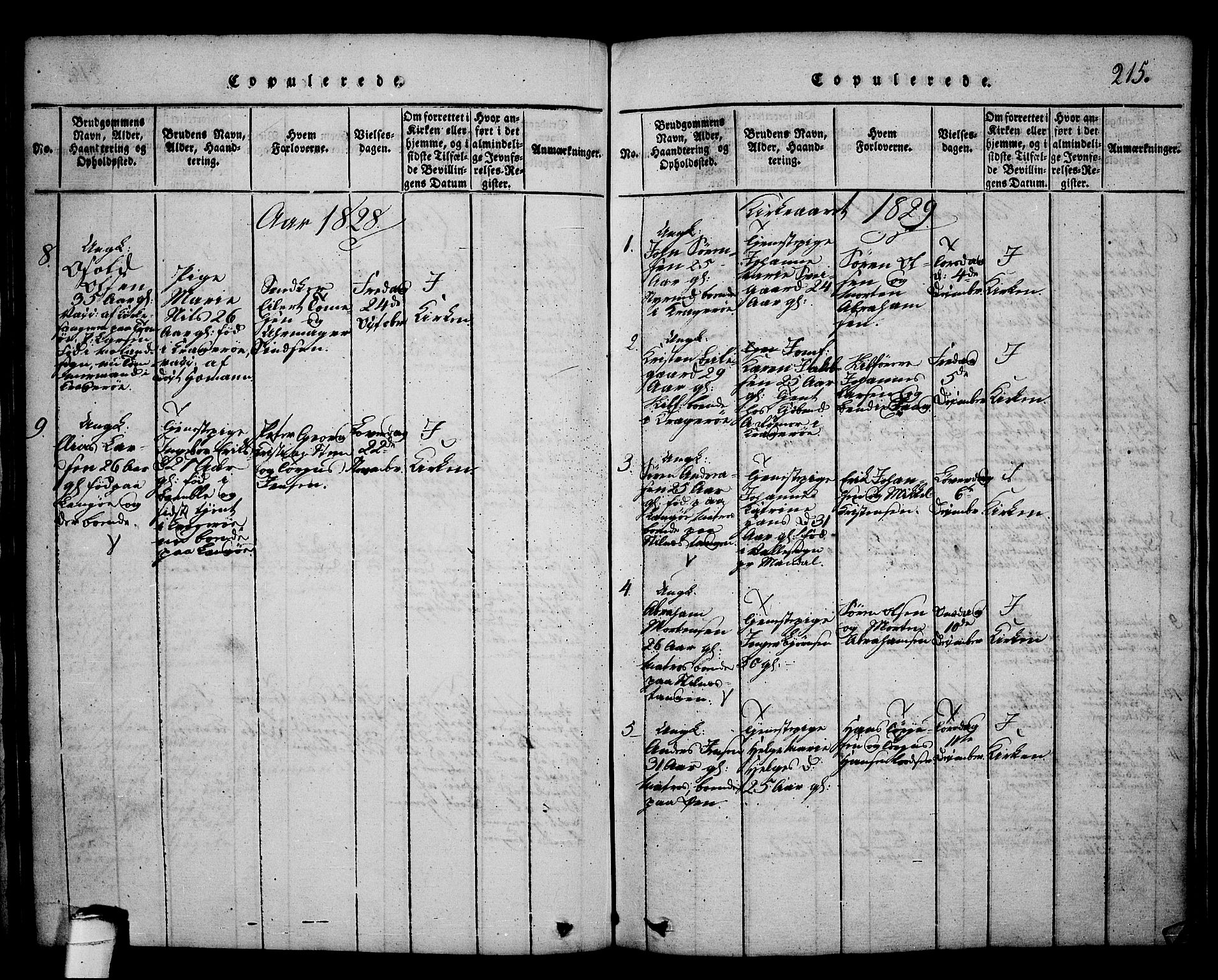 Kragerø kirkebøker, SAKO/A-278/G/Ga/L0002: Parish register (copy) no. 2, 1814-1831, p. 215