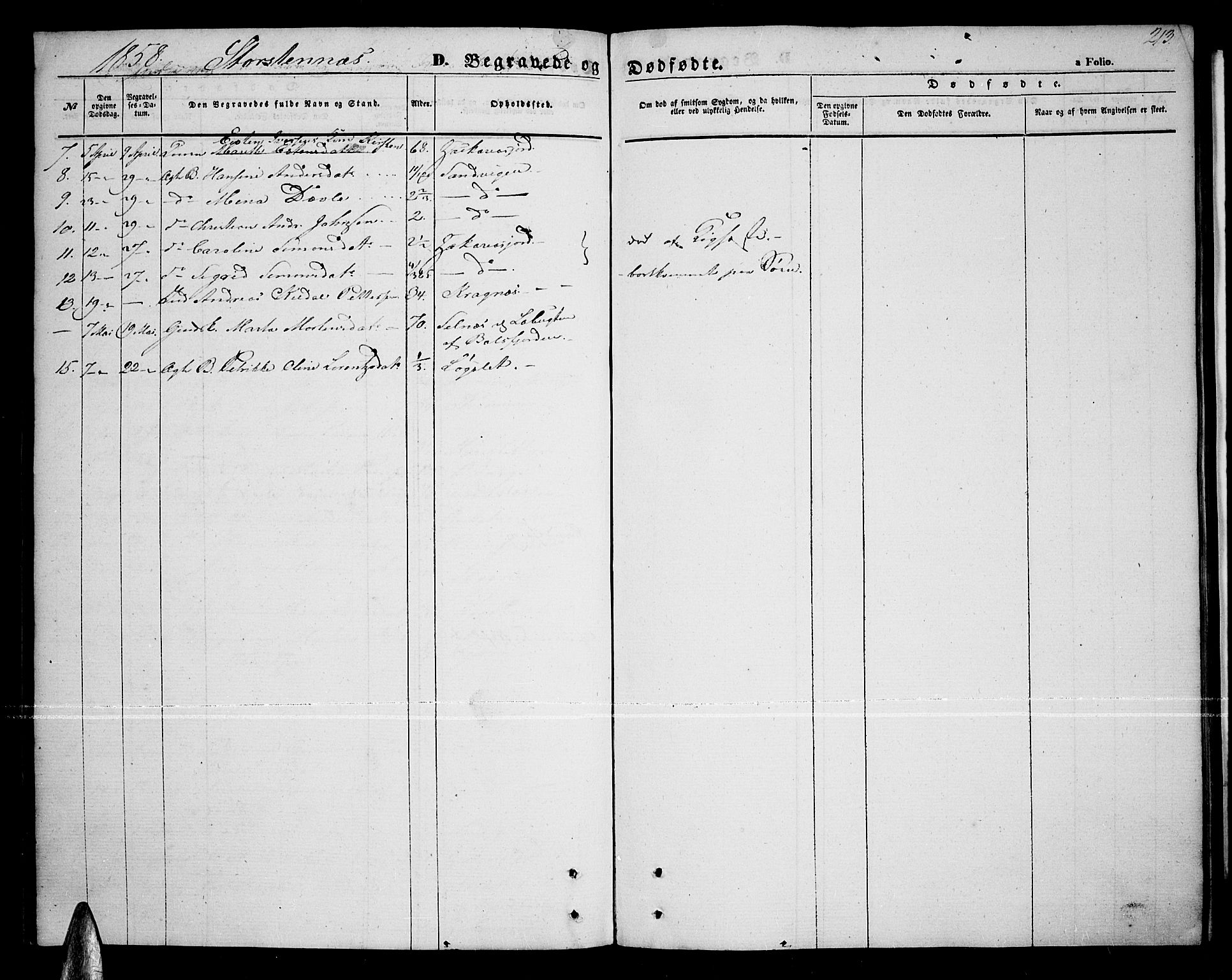 Tromsø sokneprestkontor/stiftsprosti/domprosti, AV/SATØ-S-1343/G/Gb/L0006klokker: Parish register (copy) no. 6, 1857-1866, p. 213