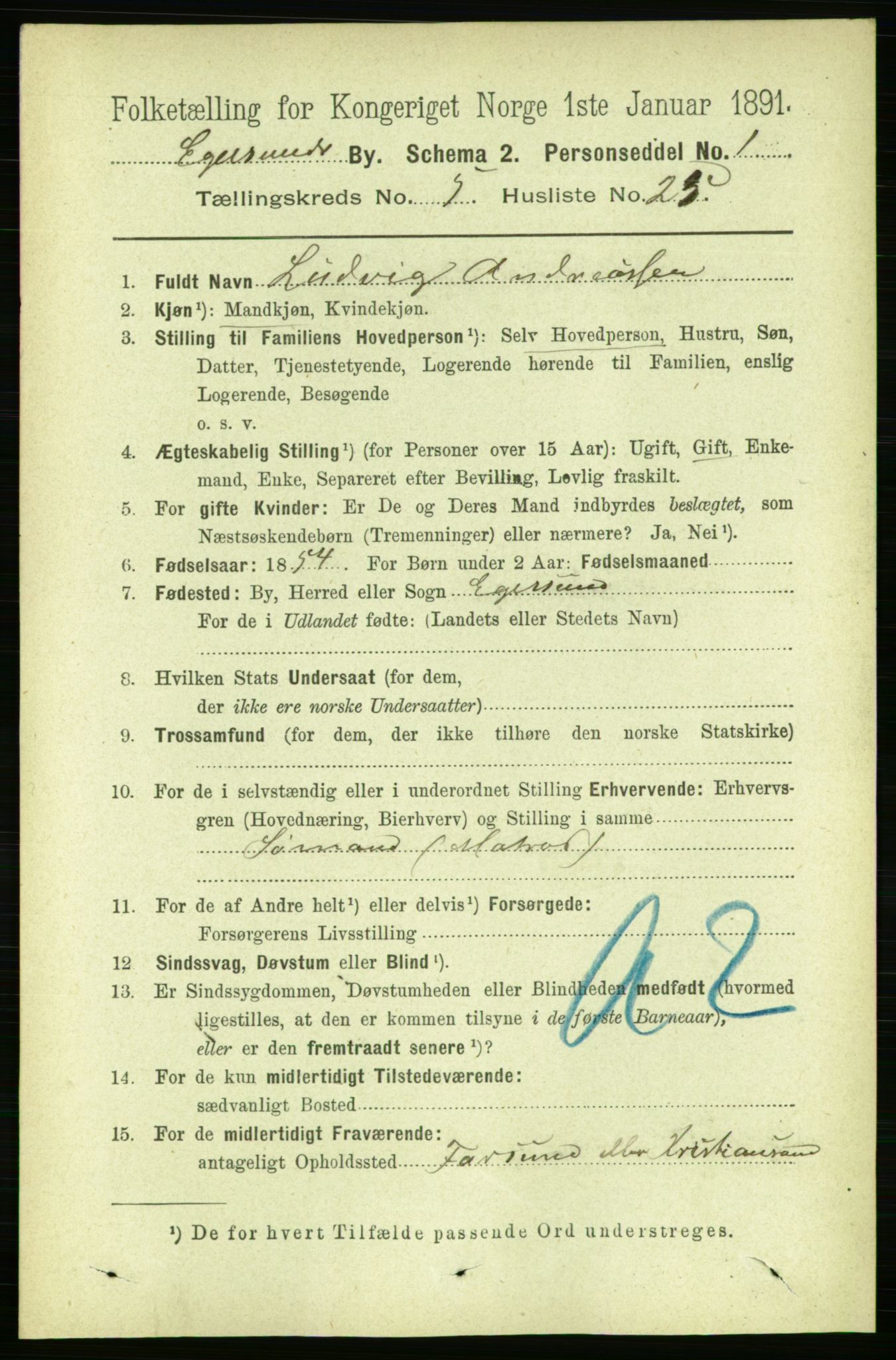 RA, 1891 census for 1101 Egersund, 1891, p. 966