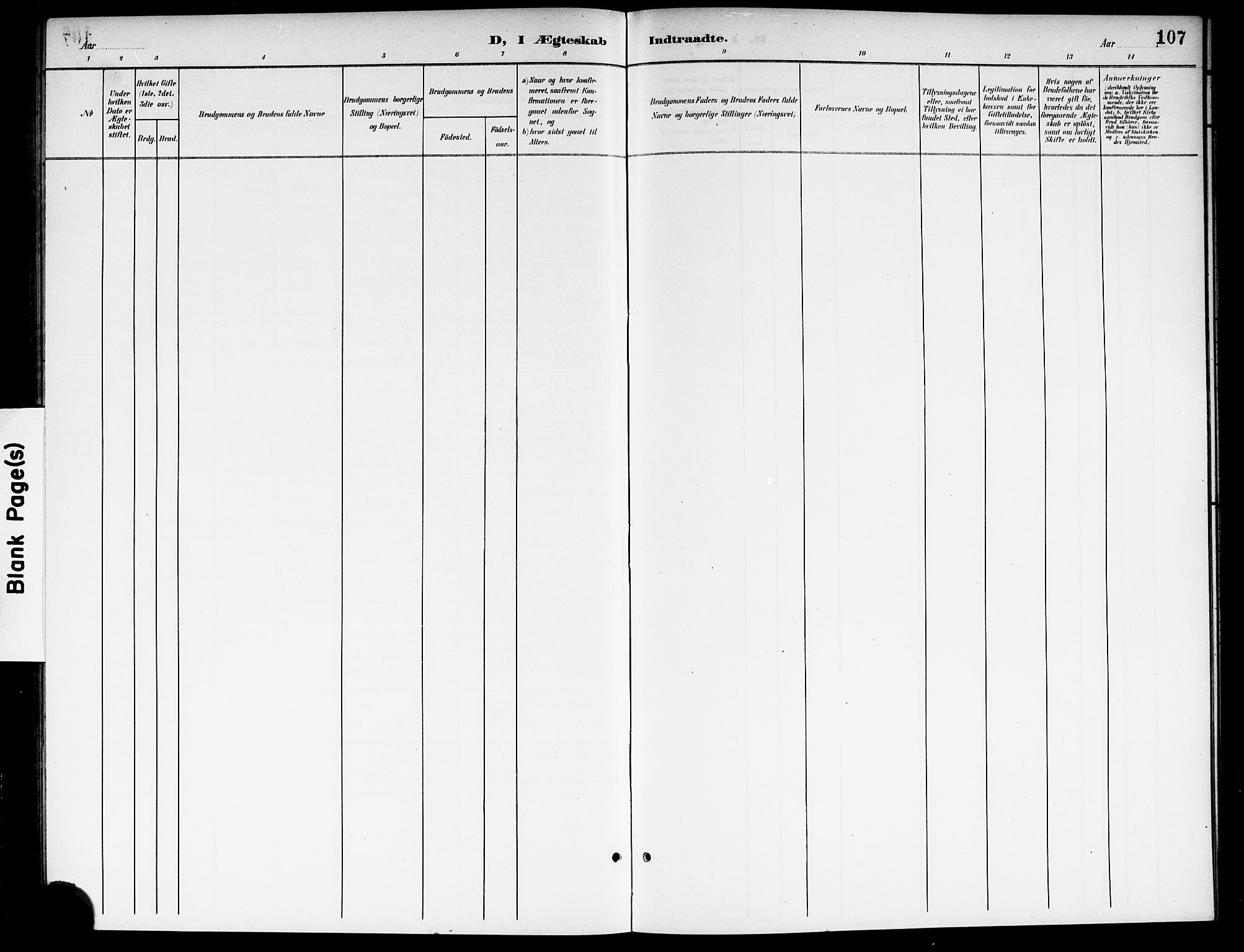 Nes prestekontor Kirkebøker, AV/SAO-A-10410/G/Gb/L0001: Parish register (copy) no. II 1, 1901-1917, p. 107