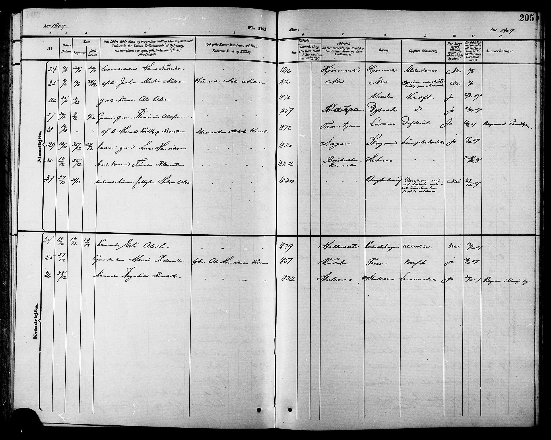 Ministerialprotokoller, klokkerbøker og fødselsregistre - Sør-Trøndelag, AV/SAT-A-1456/630/L0505: Parish register (copy) no. 630C03, 1899-1914, p. 205