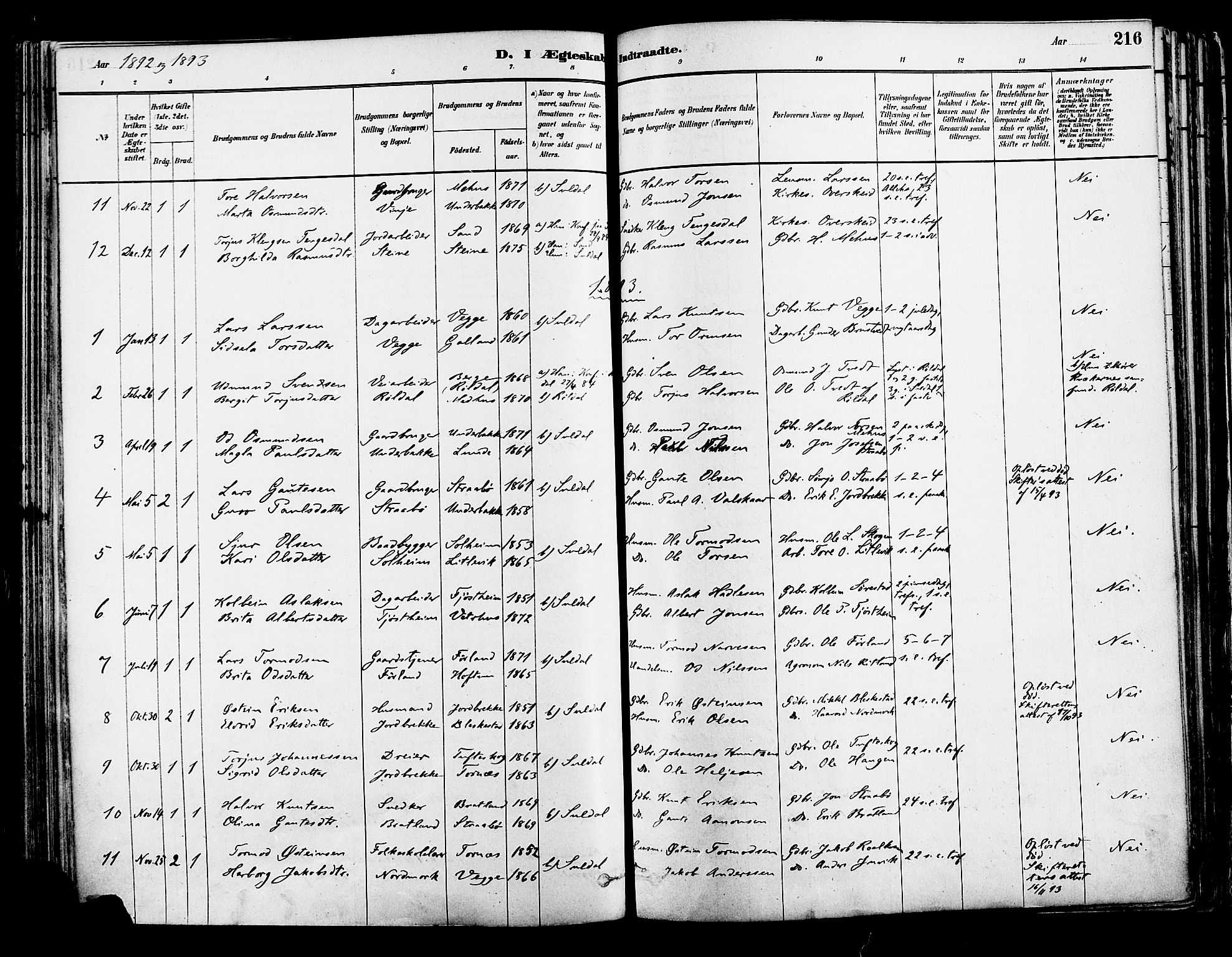 Suldal sokneprestkontor, AV/SAST-A-101845/01/IV/L0011: Parish register (official) no. A 11, 1878-1900, p. 216