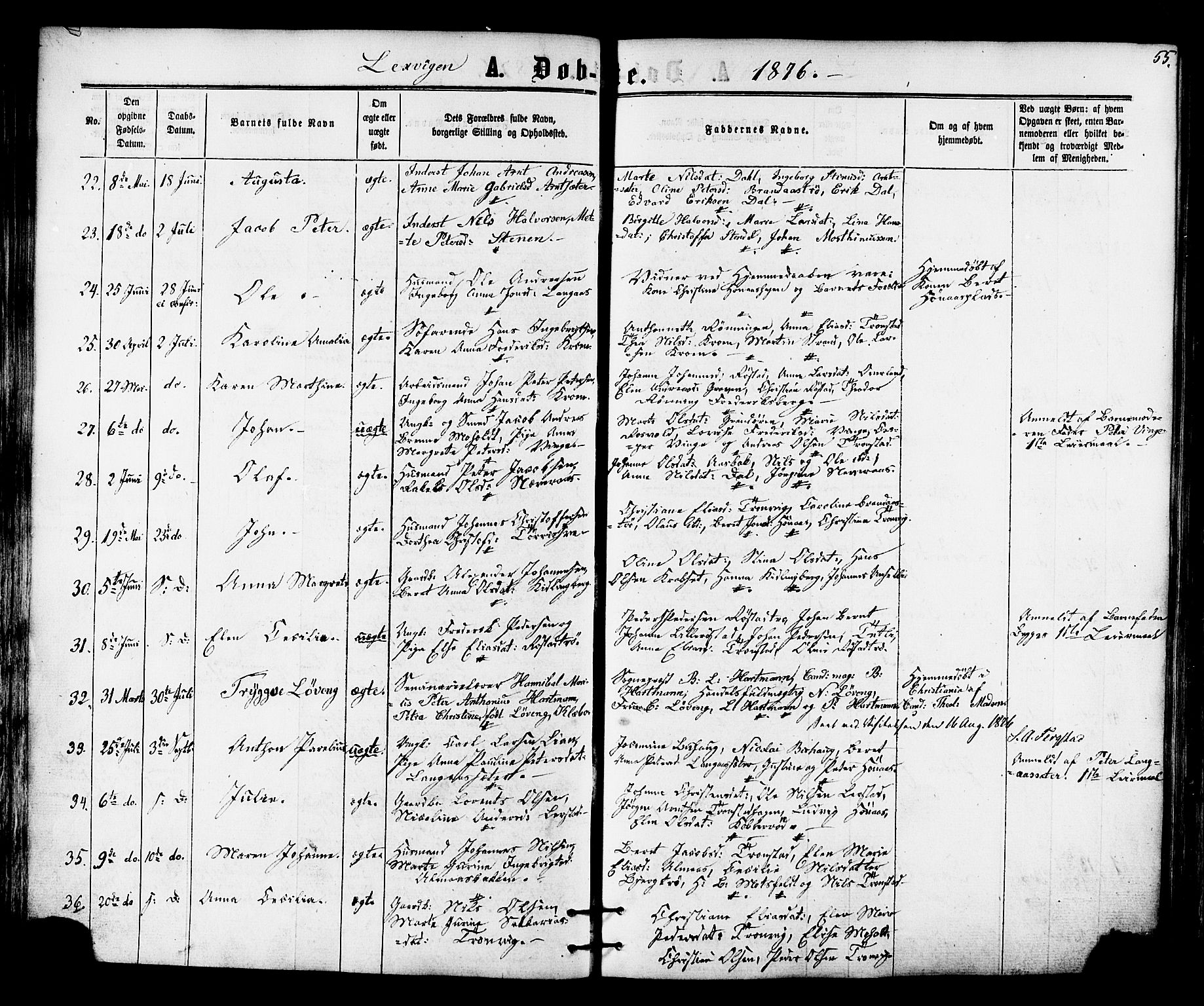 Ministerialprotokoller, klokkerbøker og fødselsregistre - Nord-Trøndelag, SAT/A-1458/701/L0009: Parish register (official) no. 701A09 /1, 1864-1882, p. 55