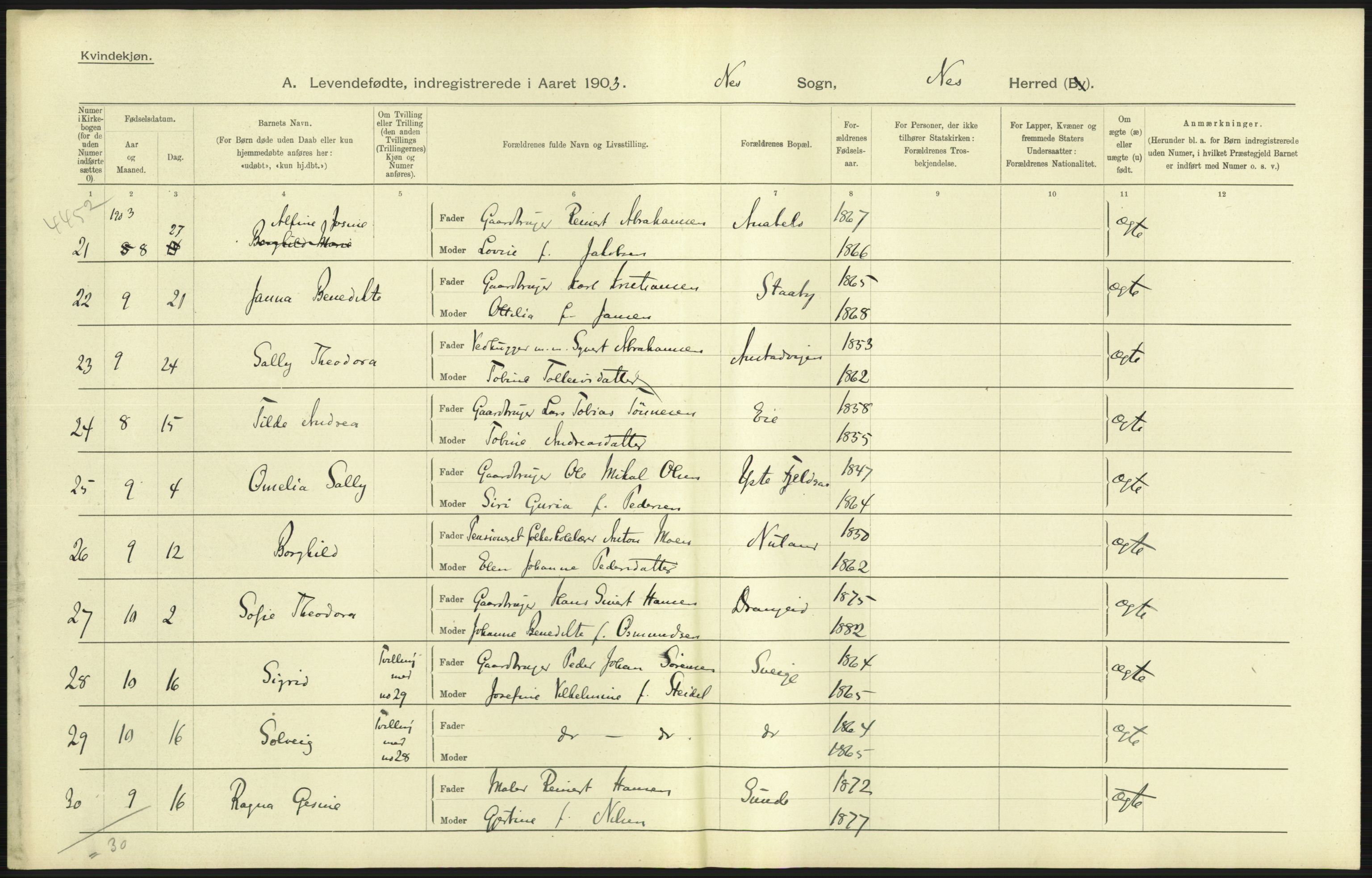 Statistisk sentralbyrå, Sosiodemografiske emner, Befolkning, AV/RA-S-2228/D/Df/Dfa/Dfaa/L0011: Lister og Mandal amt: Fødte, gifte, døde, 1903, p. 23