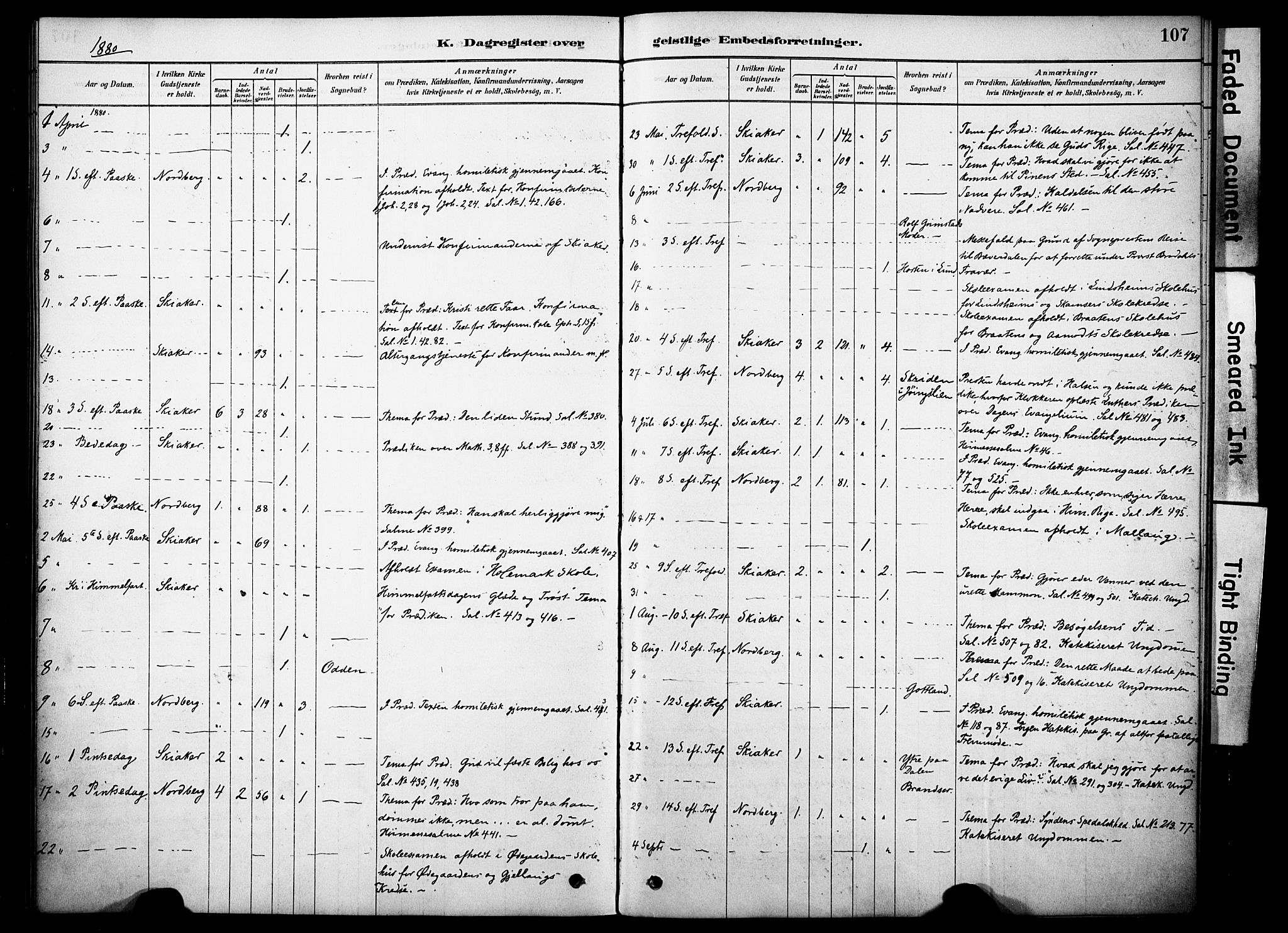 Skjåk prestekontor, SAH/PREST-072/H/Ha/Haa/L0002: Parish register (official) no. 2, 1878-1907, p. 107
