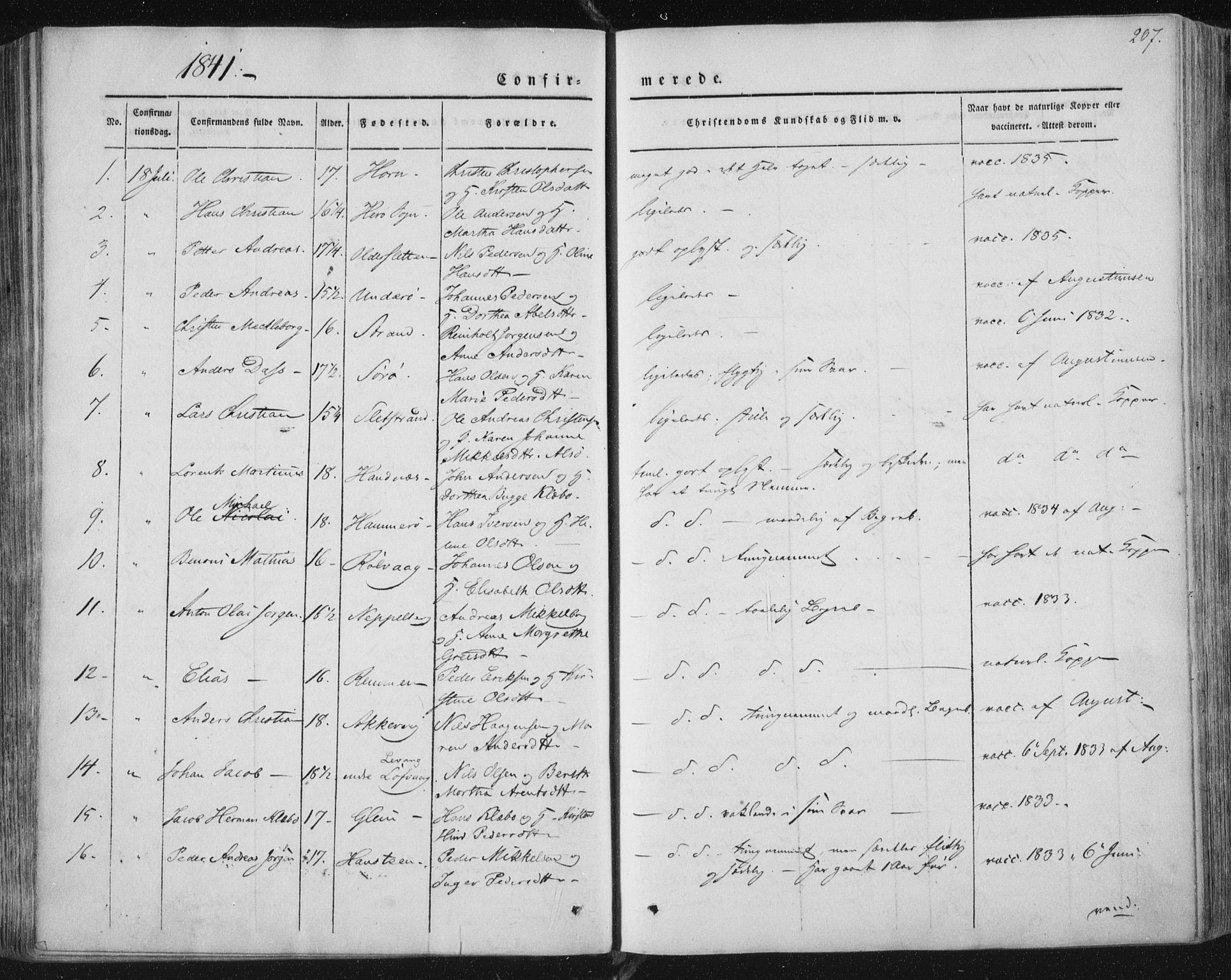 Ministerialprotokoller, klokkerbøker og fødselsregistre - Nordland, AV/SAT-A-1459/838/L0549: Parish register (official) no. 838A07, 1840-1854, p. 207