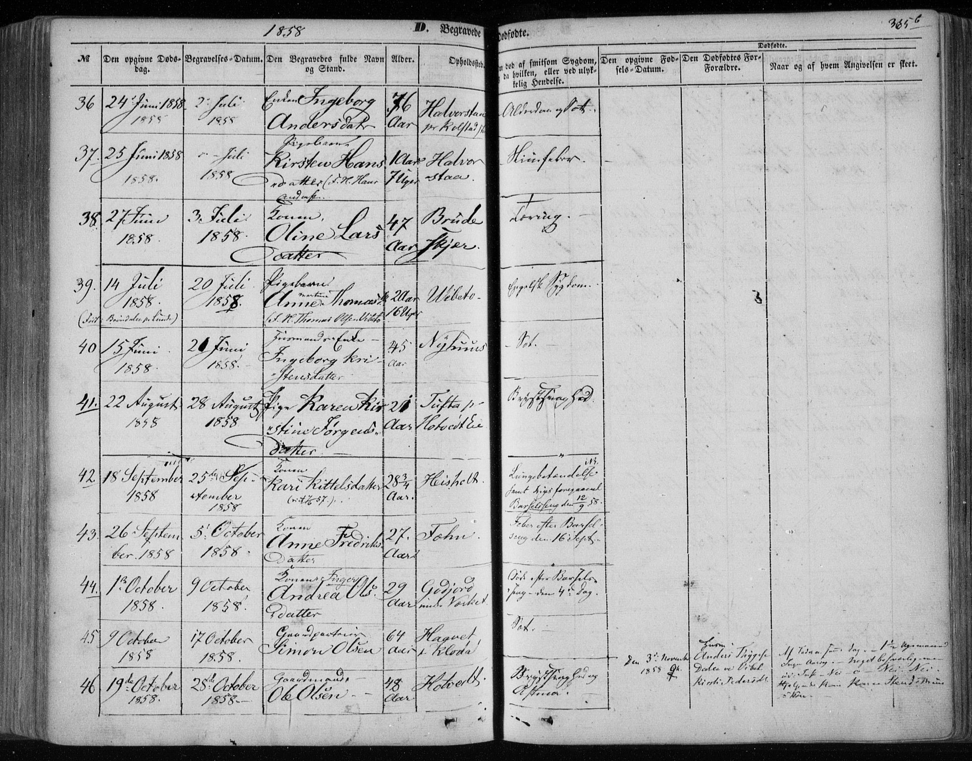 Holla kirkebøker, SAKO/A-272/F/Fa/L0005: Parish register (official) no. 5, 1849-1860, p. 365