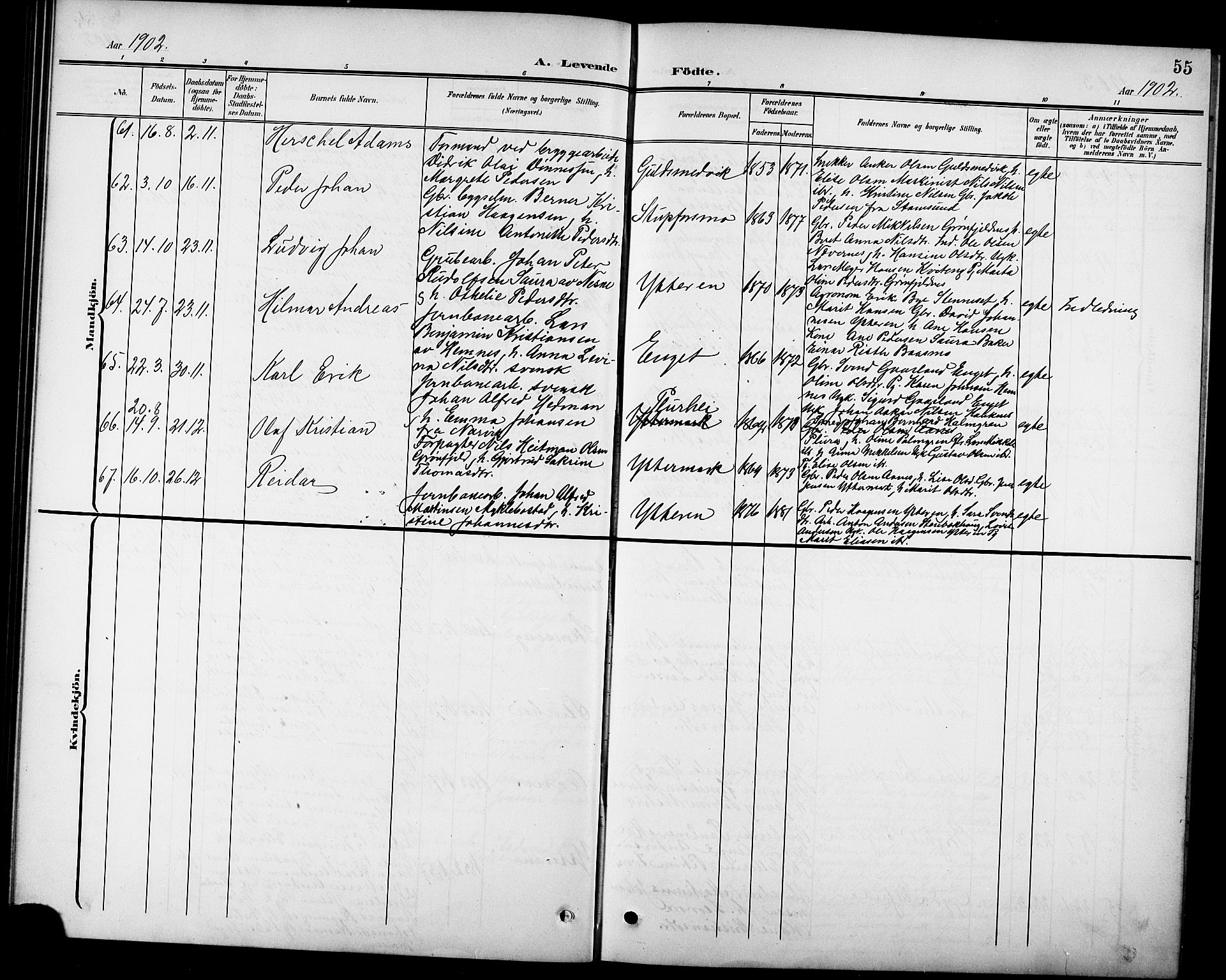 Ministerialprotokoller, klokkerbøker og fødselsregistre - Nordland, AV/SAT-A-1459/827/L0422: Parish register (copy) no. 827C11, 1899-1912, p. 55