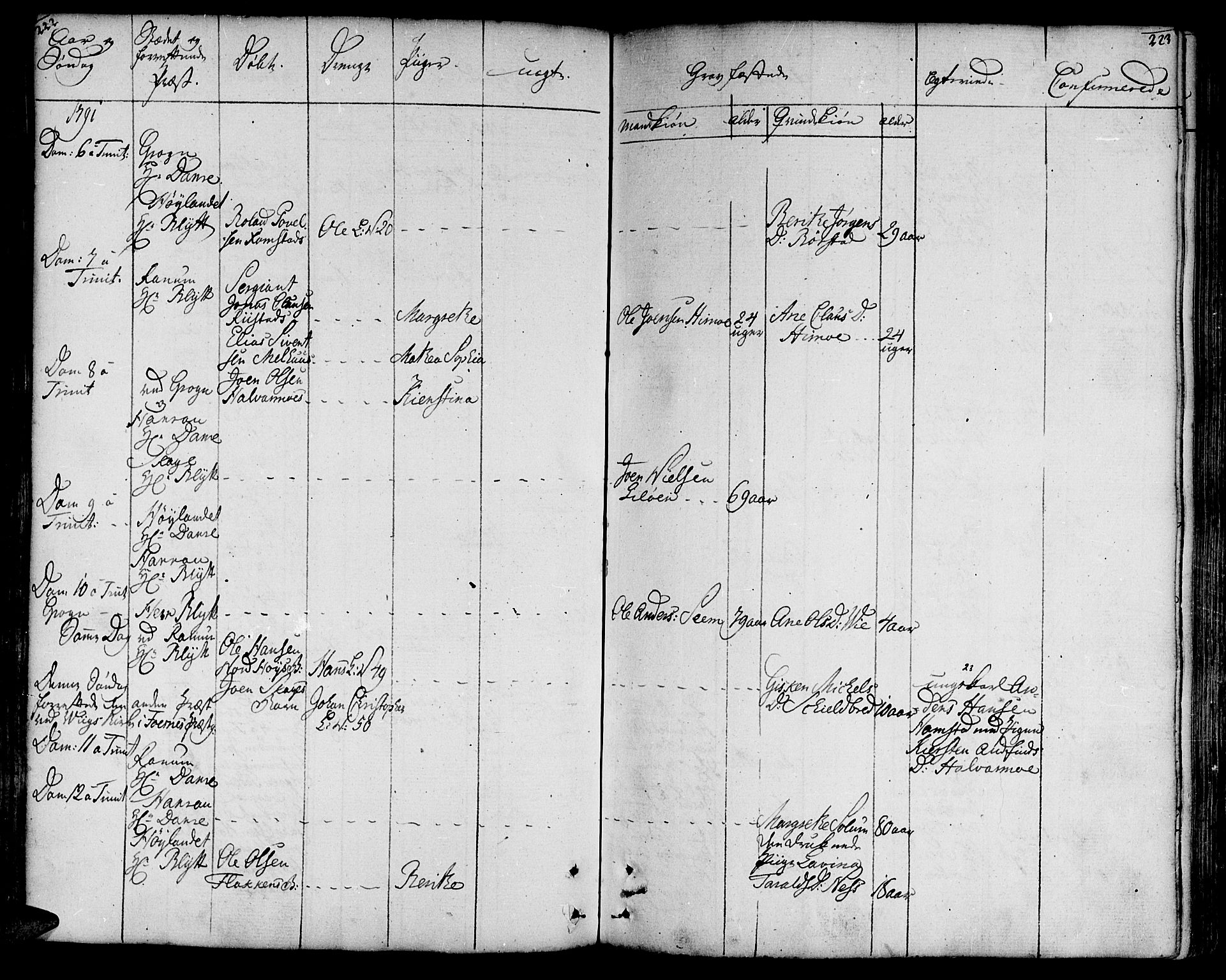 Ministerialprotokoller, klokkerbøker og fødselsregistre - Nord-Trøndelag, AV/SAT-A-1458/764/L0544: Parish register (official) no. 764A04, 1780-1798, p. 222-223