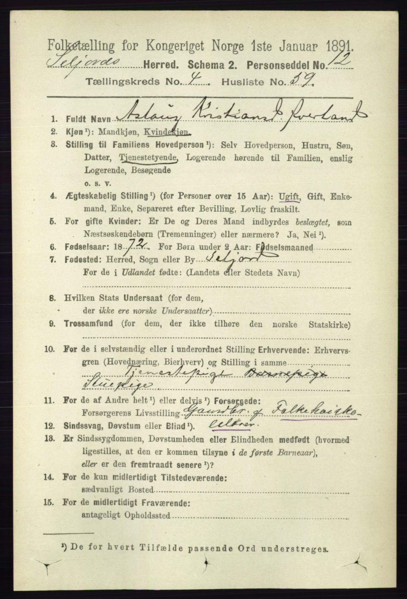 RA, 1891 census for 0828 Seljord, 1891, p. 1633