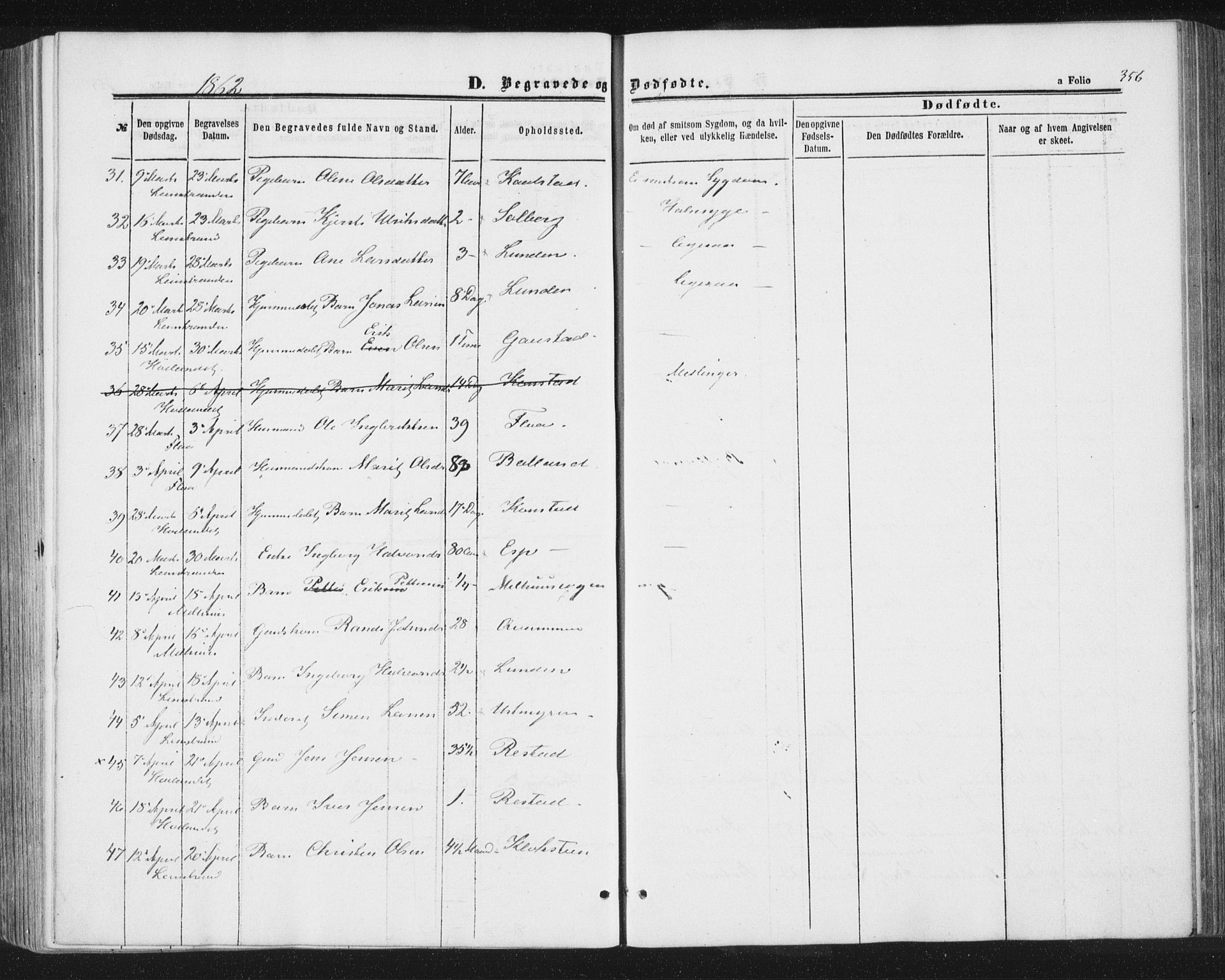 Ministerialprotokoller, klokkerbøker og fødselsregistre - Sør-Trøndelag, AV/SAT-A-1456/691/L1077: Parish register (official) no. 691A09, 1862-1873, p. 356