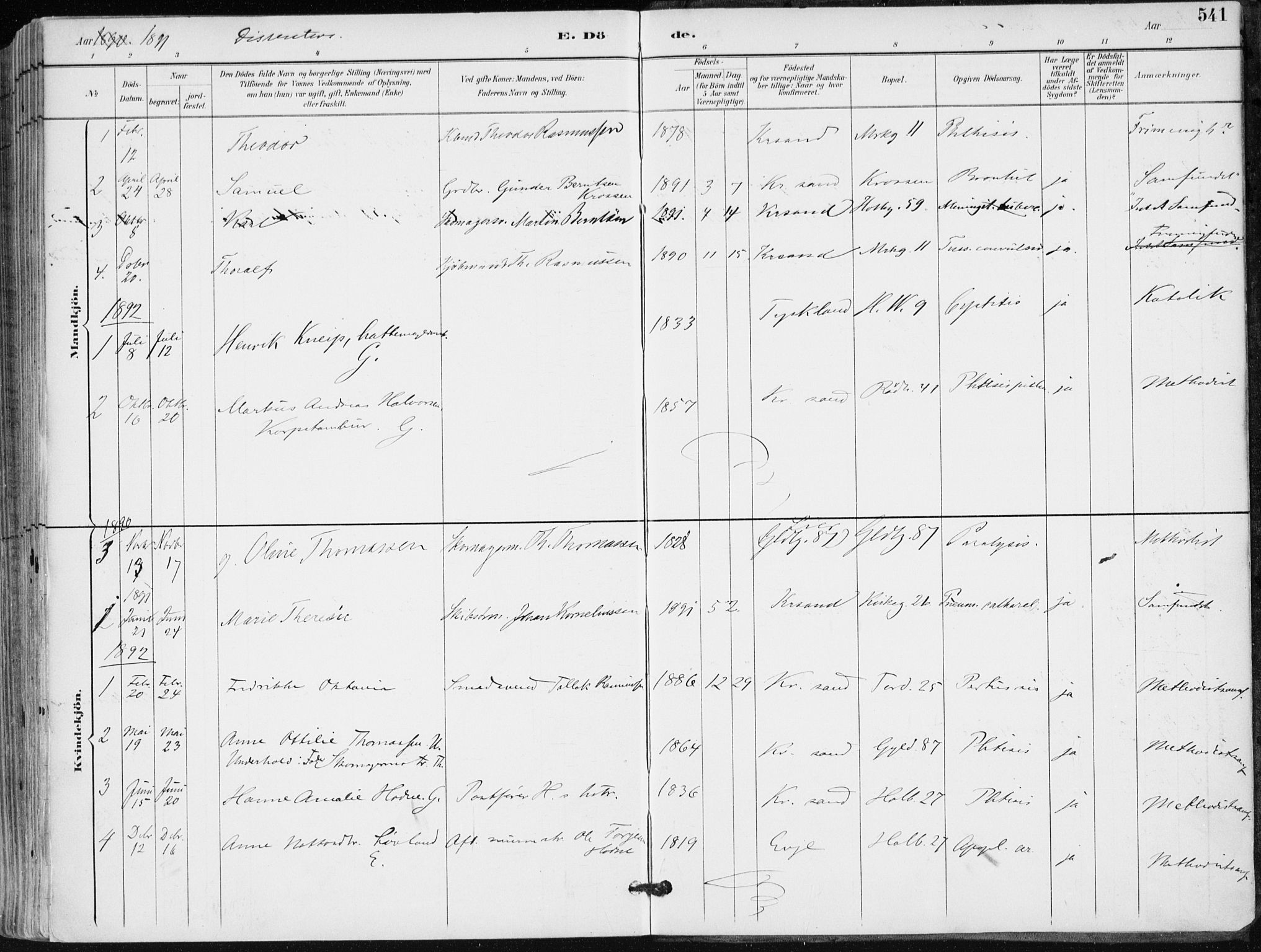 Kristiansand domprosti, SAK/1112-0006/F/Fa/L0019: Parish register (official) no. A 18, 1890-1897, p. 541
