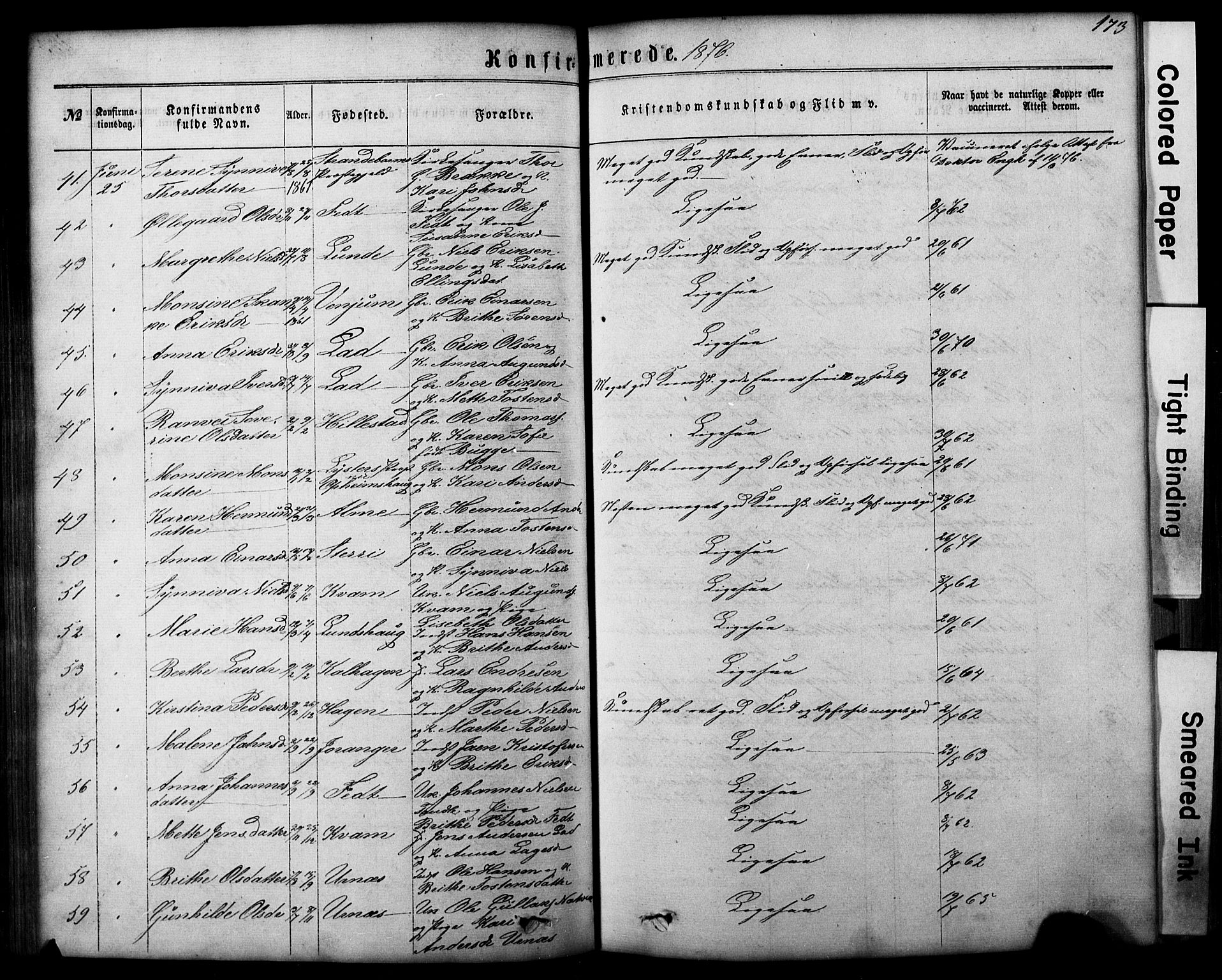 Hafslo sokneprestembete, AV/SAB-A-80301/H/Hab/Haba/L0001: Parish register (copy) no. A 1, 1866-1908, p. 173