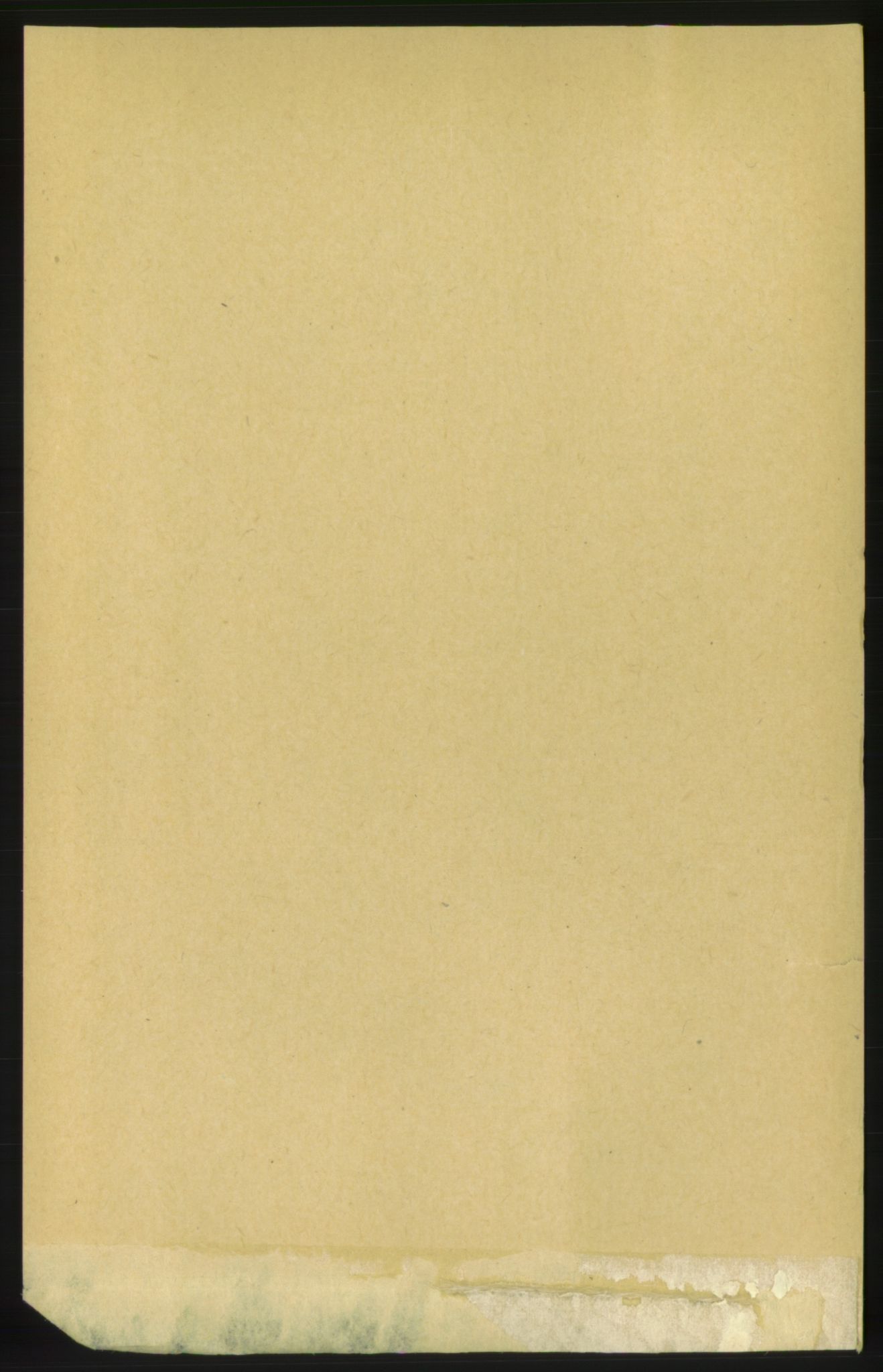 RA, 1891 census for 1553 Kvernes, 1891, p. 3514