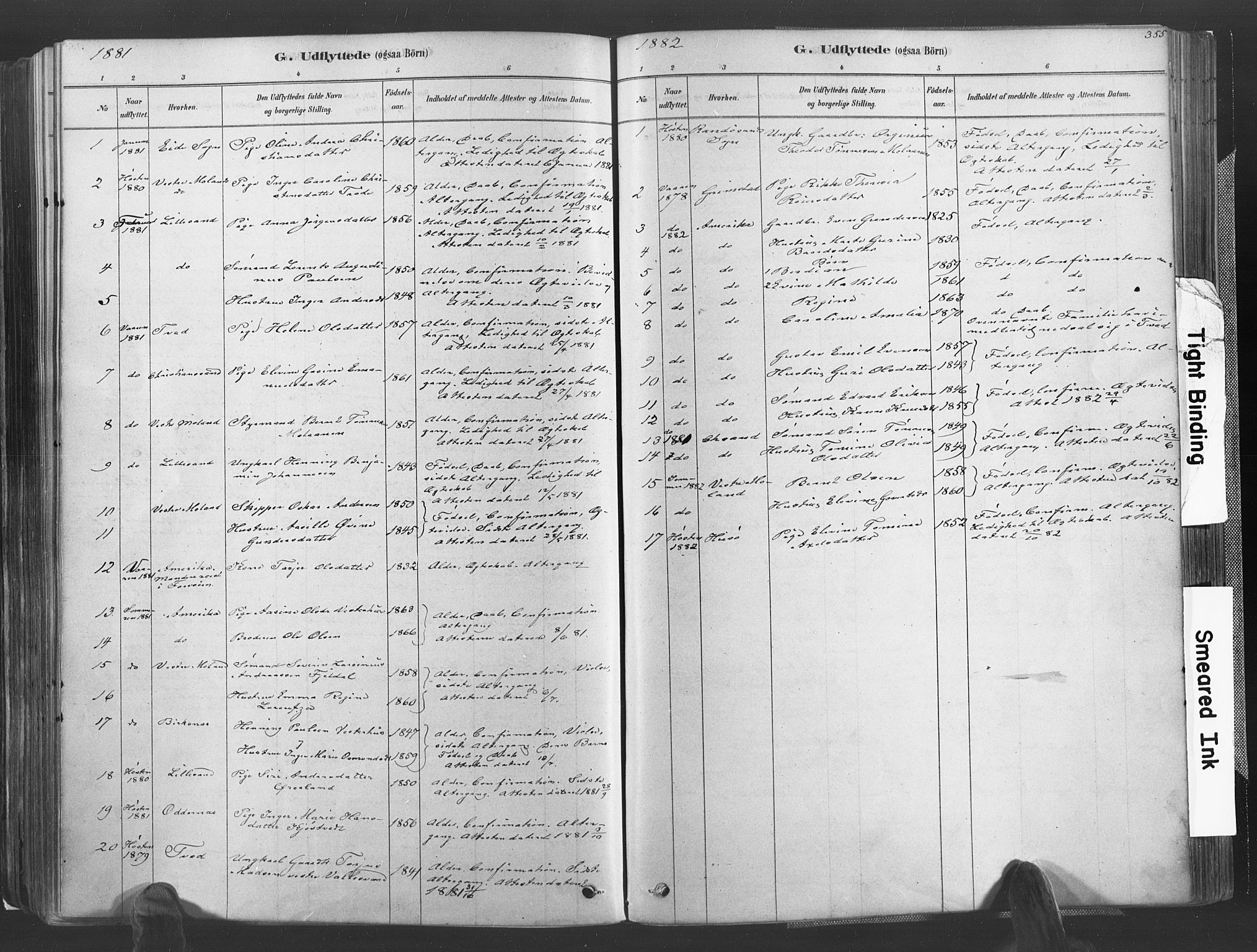 Høvåg sokneprestkontor, SAK/1111-0025/F/Fa/L0005: Parish register (official) no. A 5, 1878-1893, p. 355