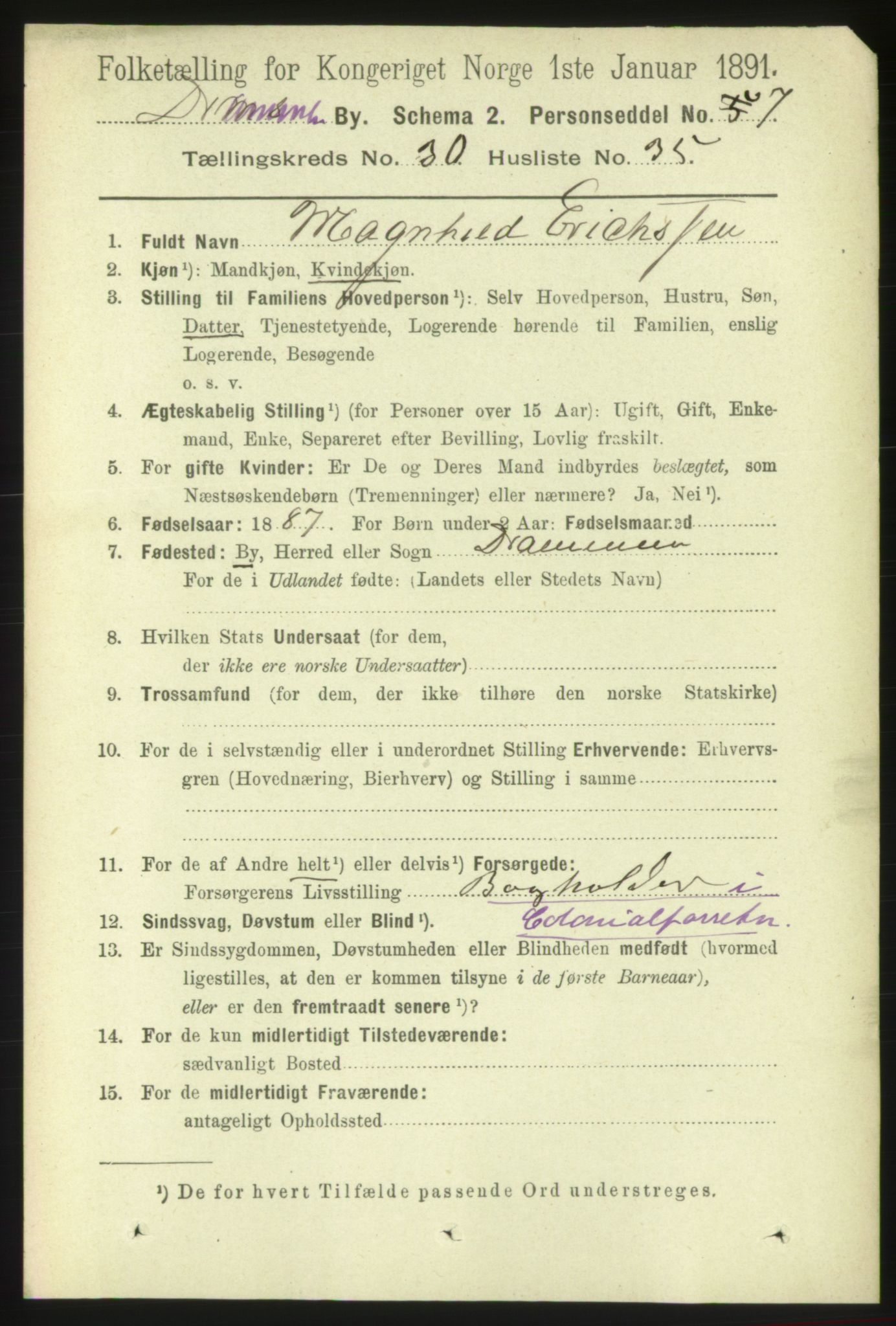 RA, 1891 census for 0602 Drammen, 1891, p. 18556