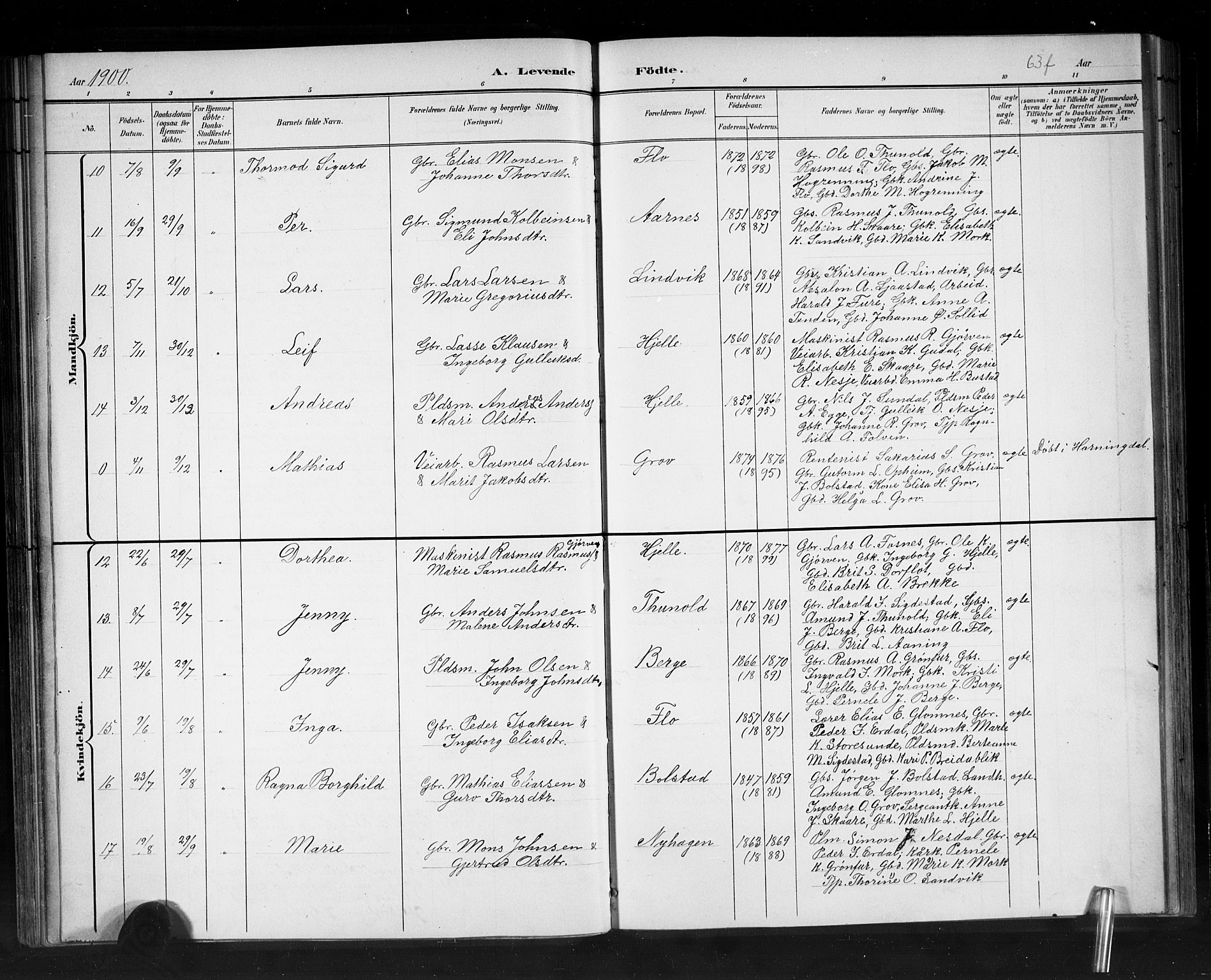 Stryn Sokneprestembete, AV/SAB-A-82501: Parish register (copy) no. C 3, 1881-1905, p. 63