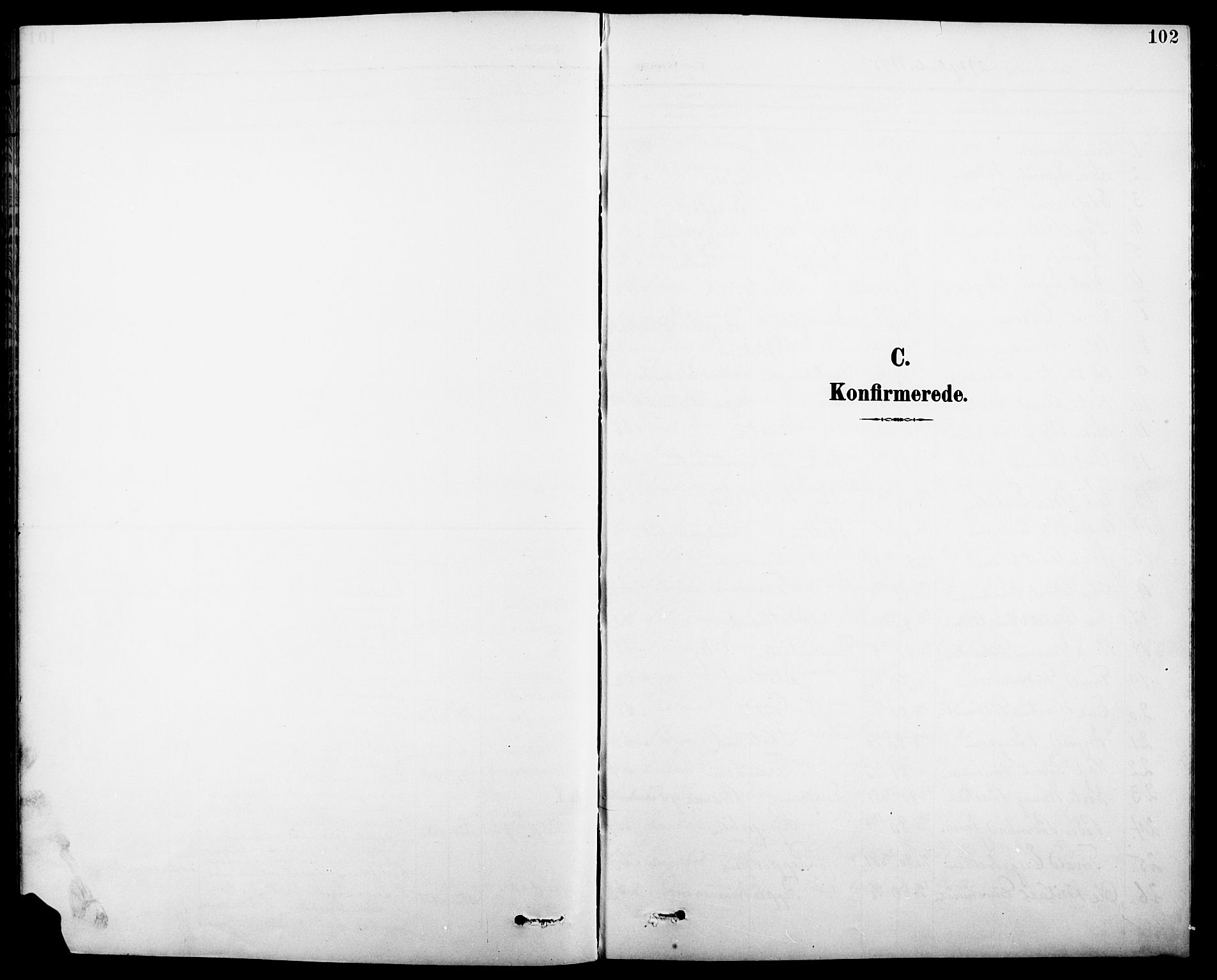 Eidskog prestekontor, SAH/PREST-026/H/Ha/Hab/L0001: Parish register (copy) no. 1, 1895-1917, p. 102