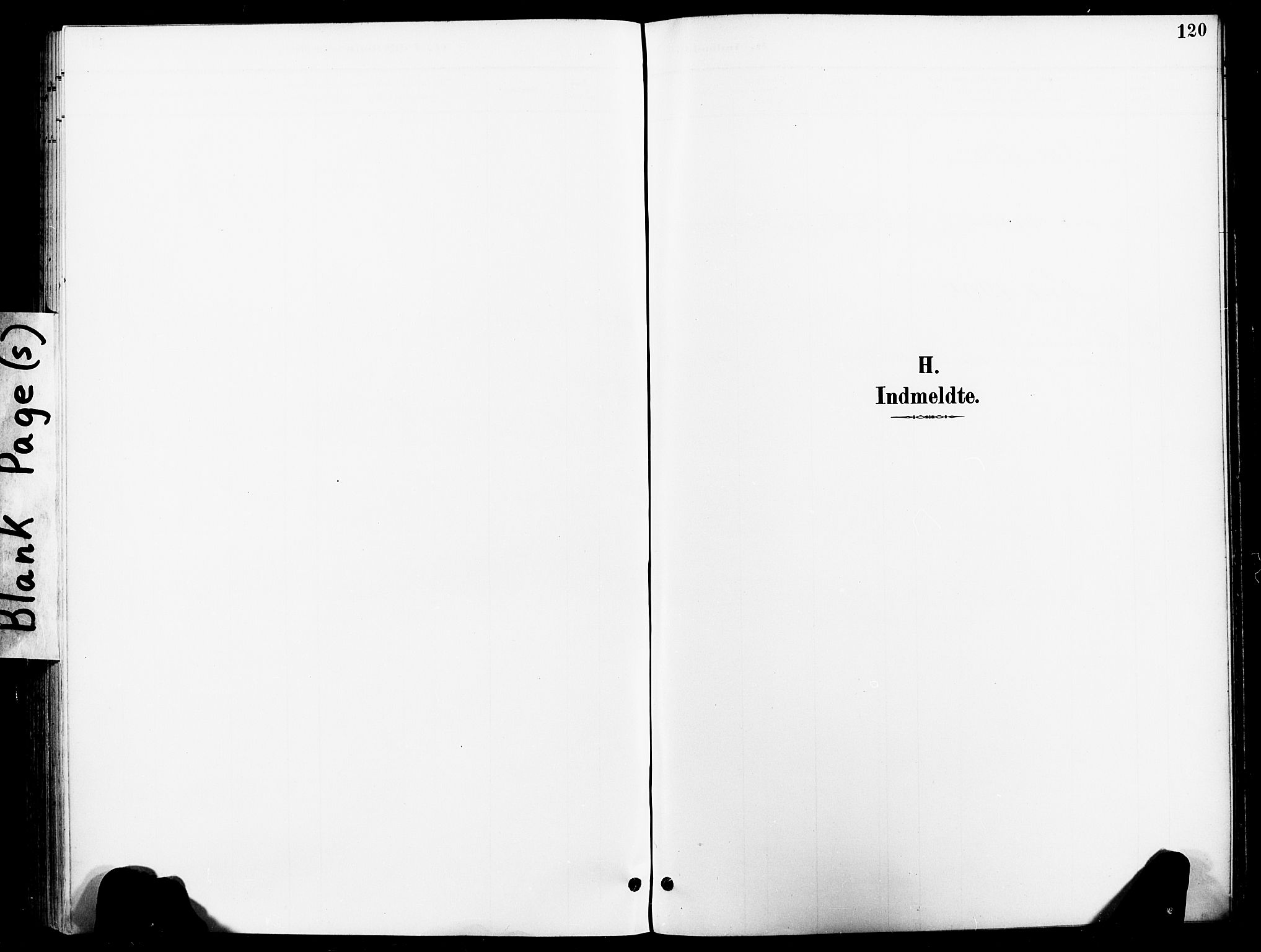 Ministerialprotokoller, klokkerbøker og fødselsregistre - Nord-Trøndelag, AV/SAT-A-1458/740/L0379: Parish register (official) no. 740A02, 1895-1907, p. 120