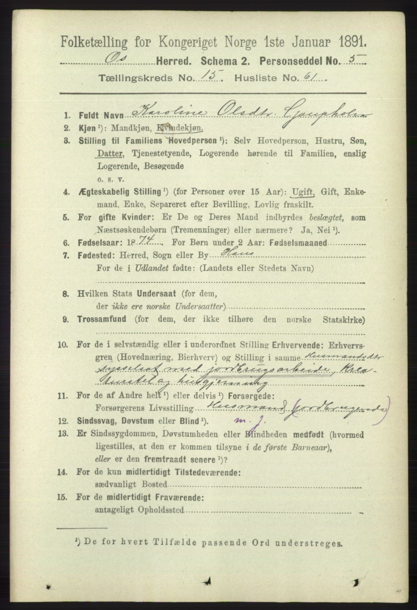 RA, 1891 census for 1243 Os, 1891, p. 3479