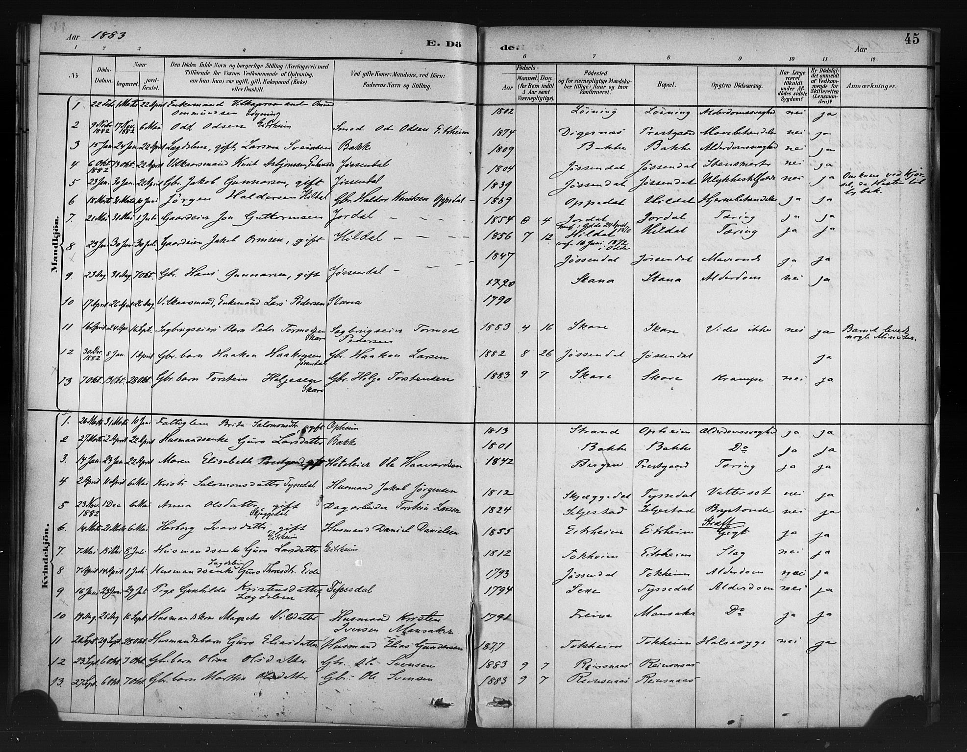 Odda Sokneprestembete, AV/SAB-A-77201/H/Haa: Parish register (official) no. A 1, 1883-1919, p. 45