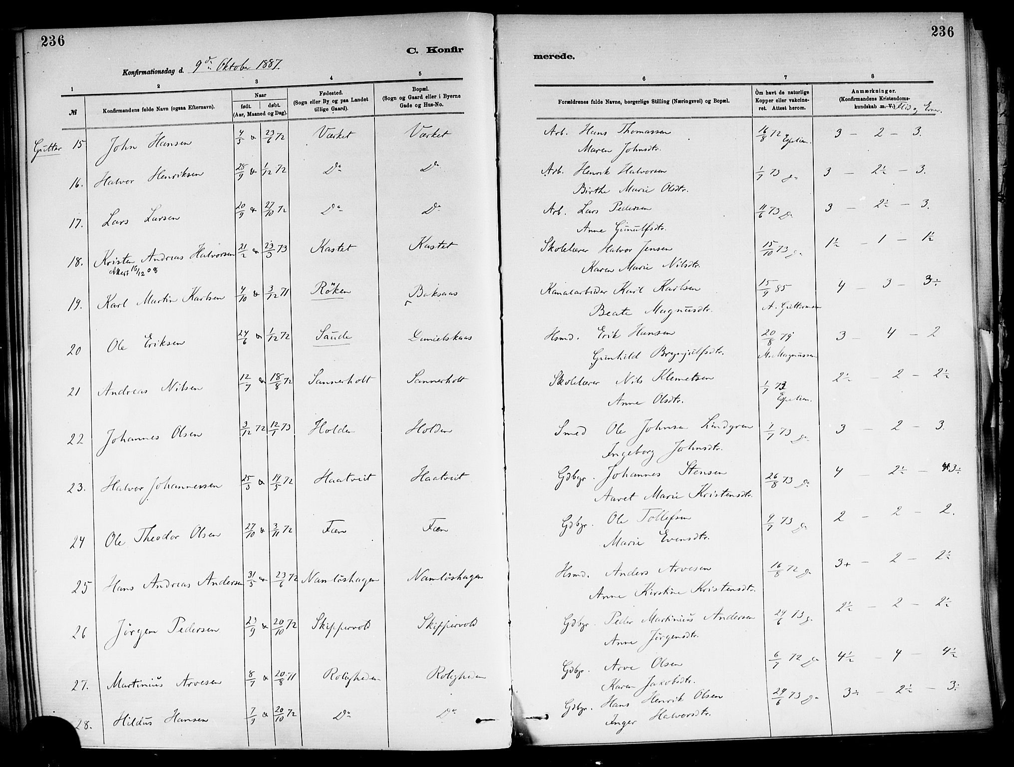 Holla kirkebøker, AV/SAKO-A-272/F/Fa/L0008: Parish register (official) no. 8, 1882-1897, p. 236