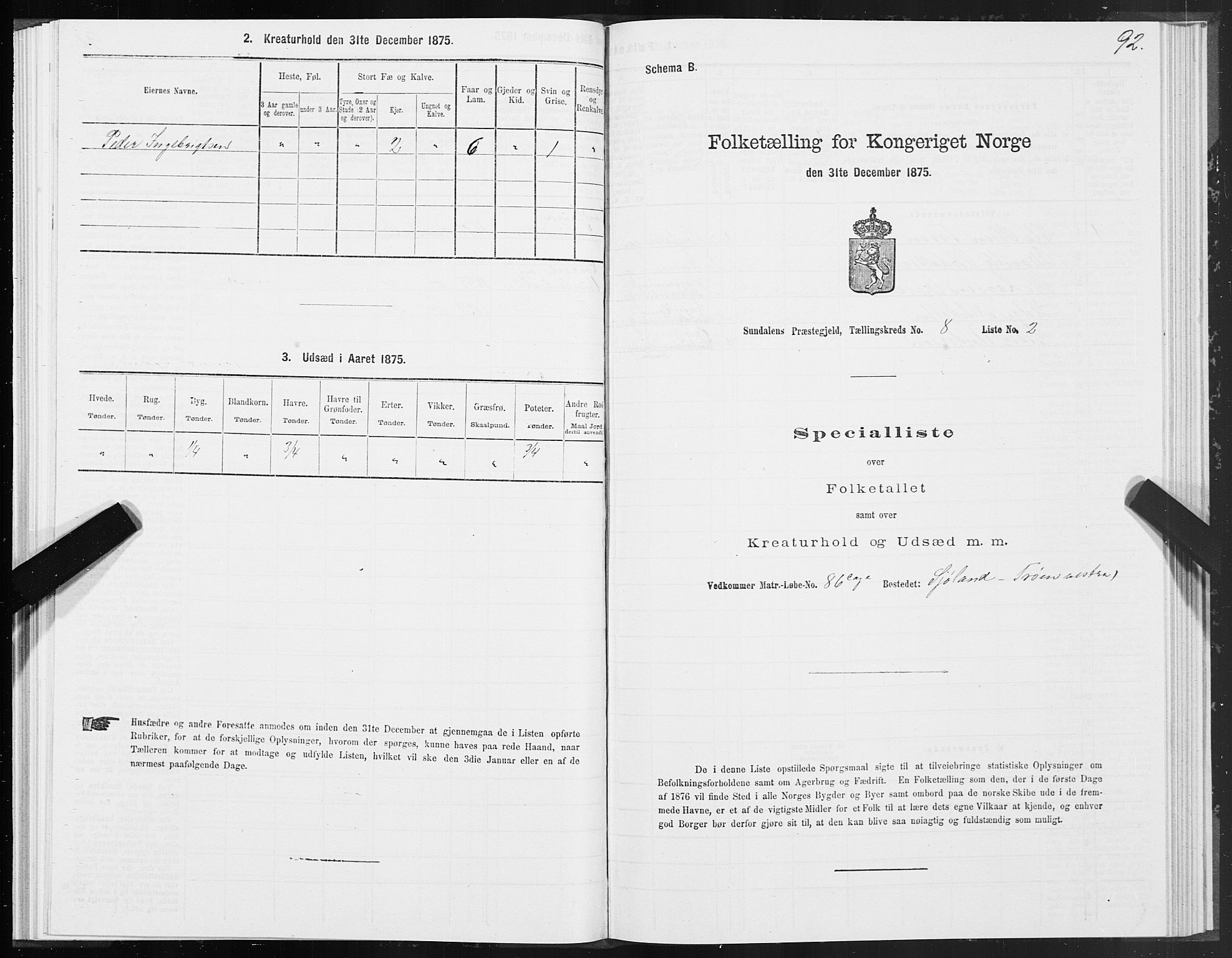 SAT, 1875 census for 1563P Sunndal, 1875, p. 3092