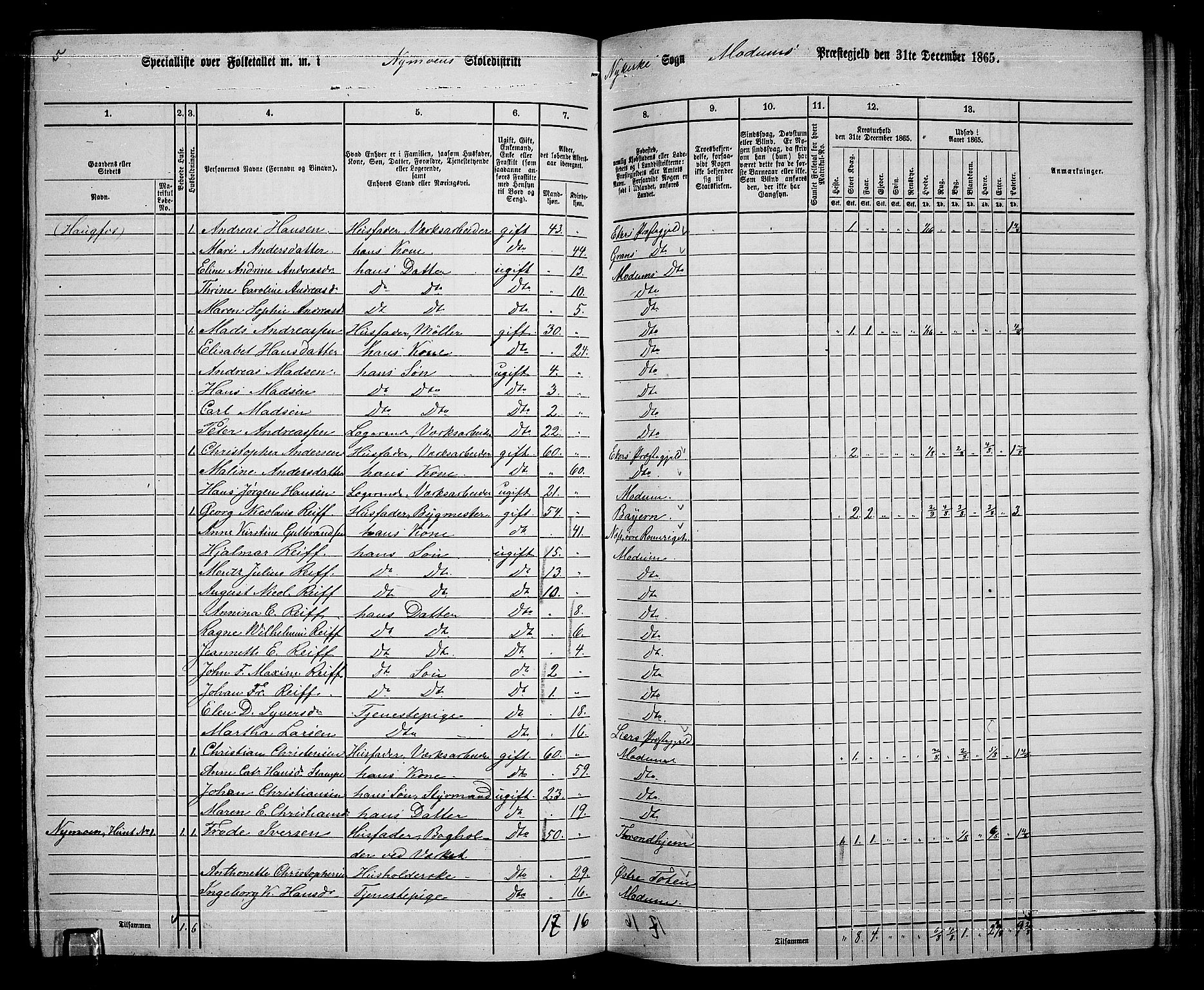 RA, 1865 census for Modum, 1865, p. 230