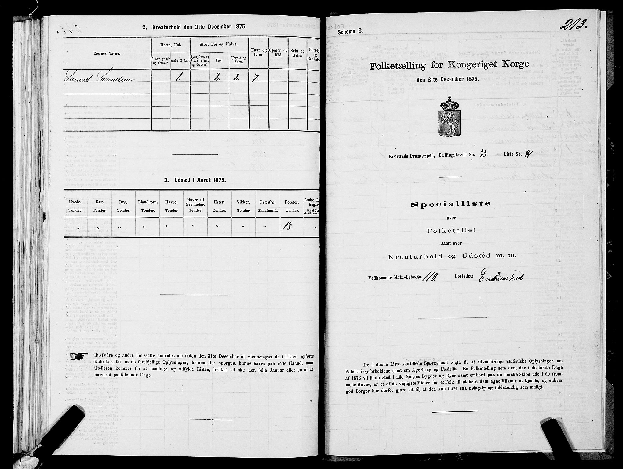 SATØ, 1875 census for 2020P Kistrand, 1875, p. 1213