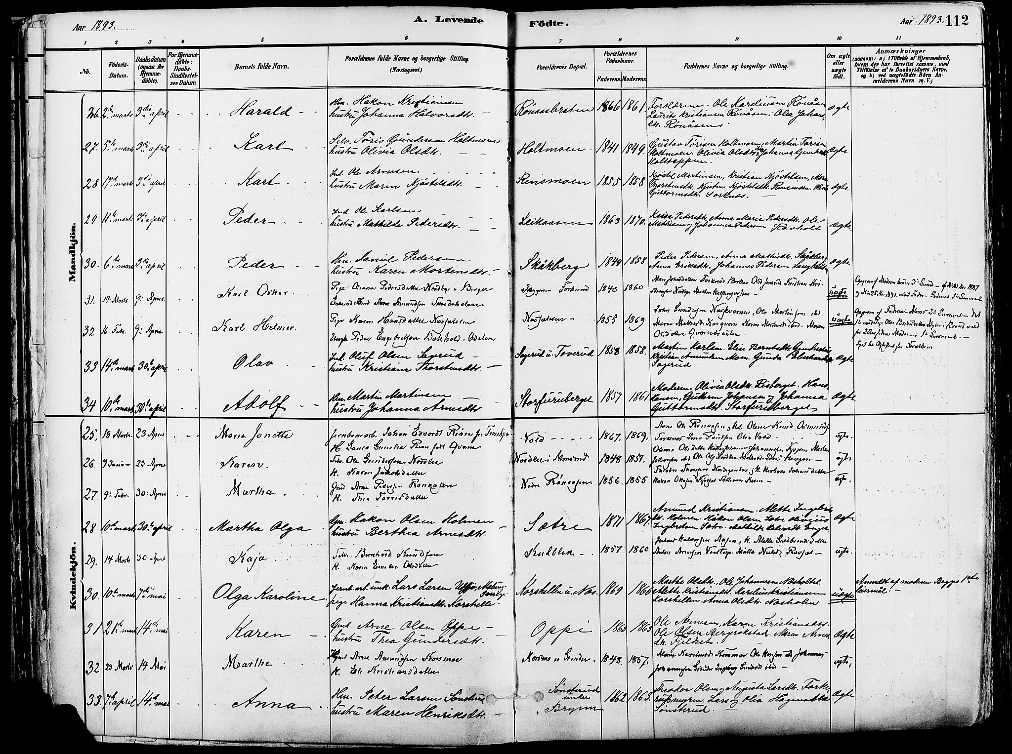 Grue prestekontor, AV/SAH-PREST-036/H/Ha/Haa/L0012: Parish register (official) no. 12, 1881-1897, p. 112