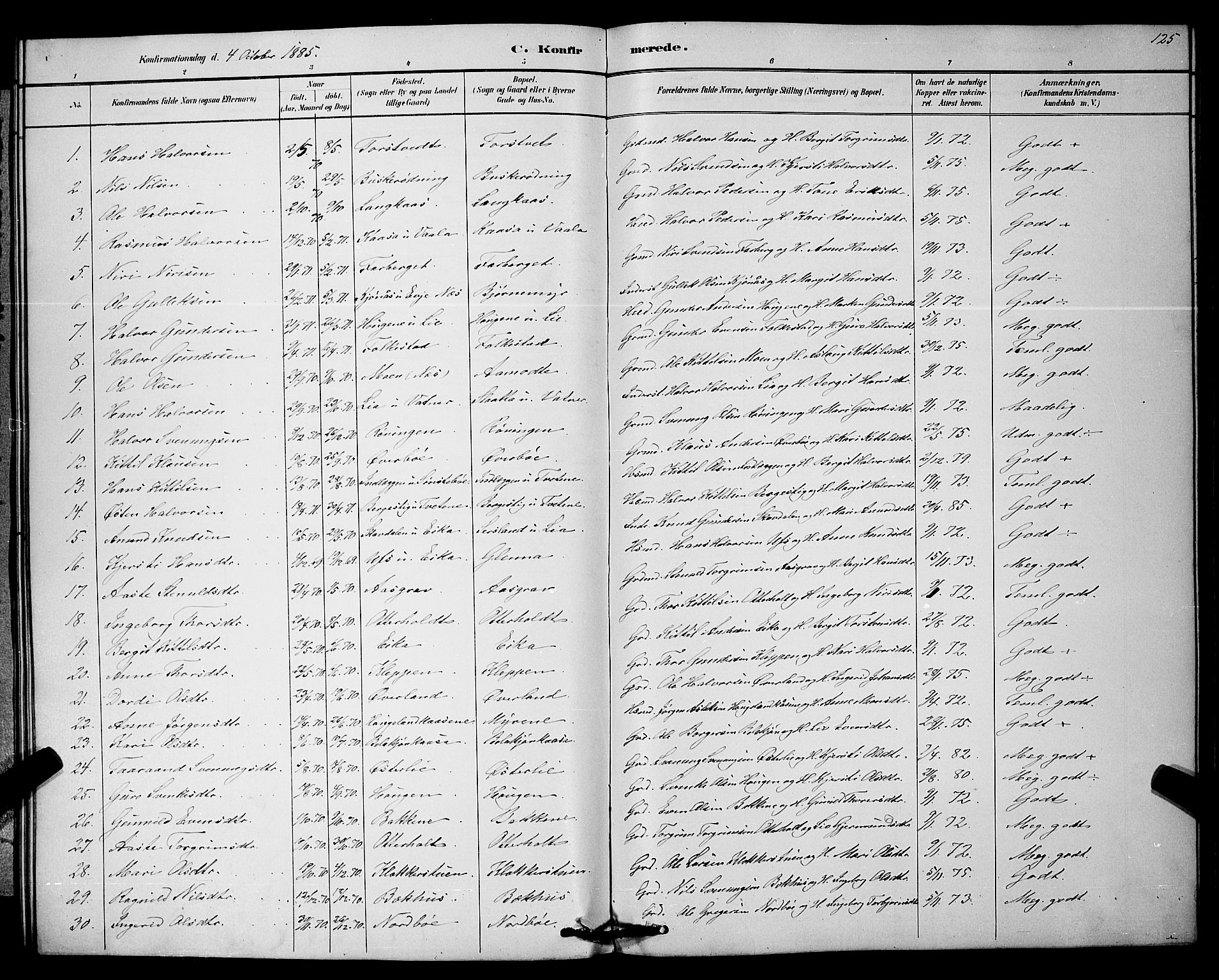 Bø kirkebøker, SAKO/A-257/G/Ga/L0005: Parish register (copy) no. 5, 1883-1897, p. 125
