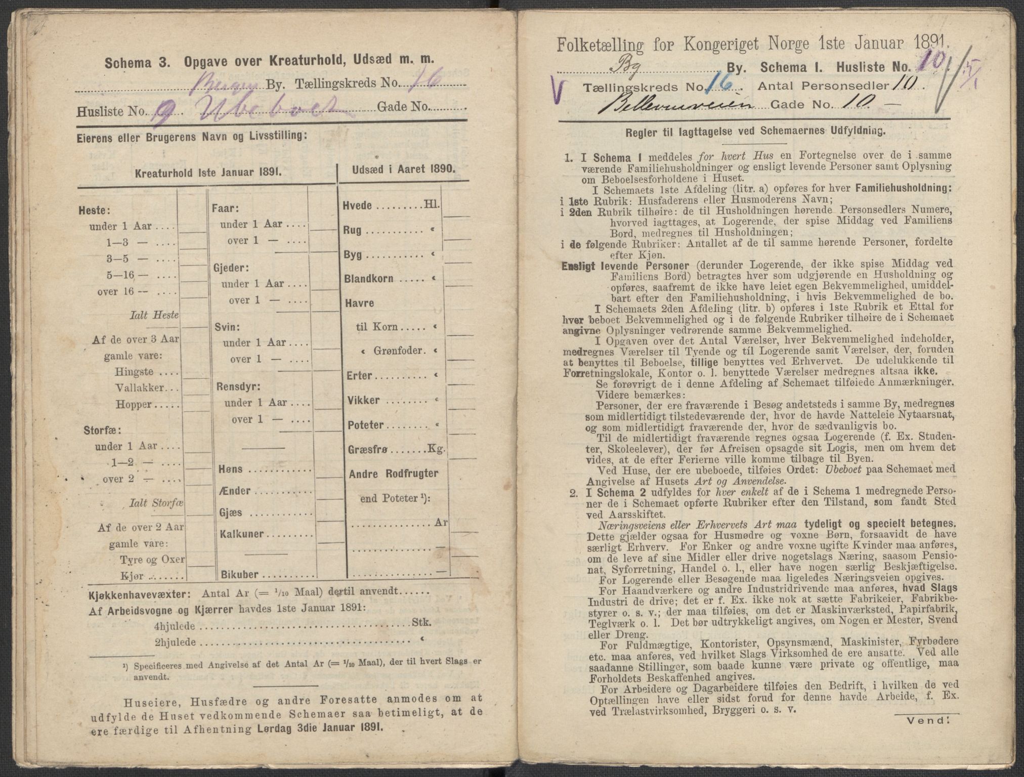 RA, 1891 Census for 1301 Bergen, 1891, p. 2484