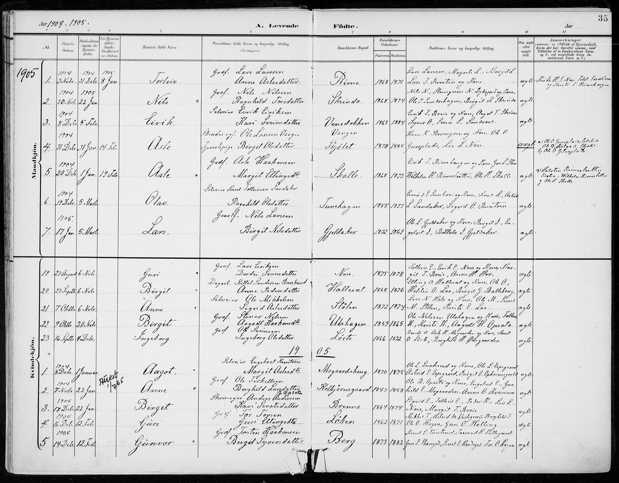 Ål kirkebøker, SAKO/A-249/F/Fa/L0009: Parish register (official) no. I 9, 1897-1915, p. 35