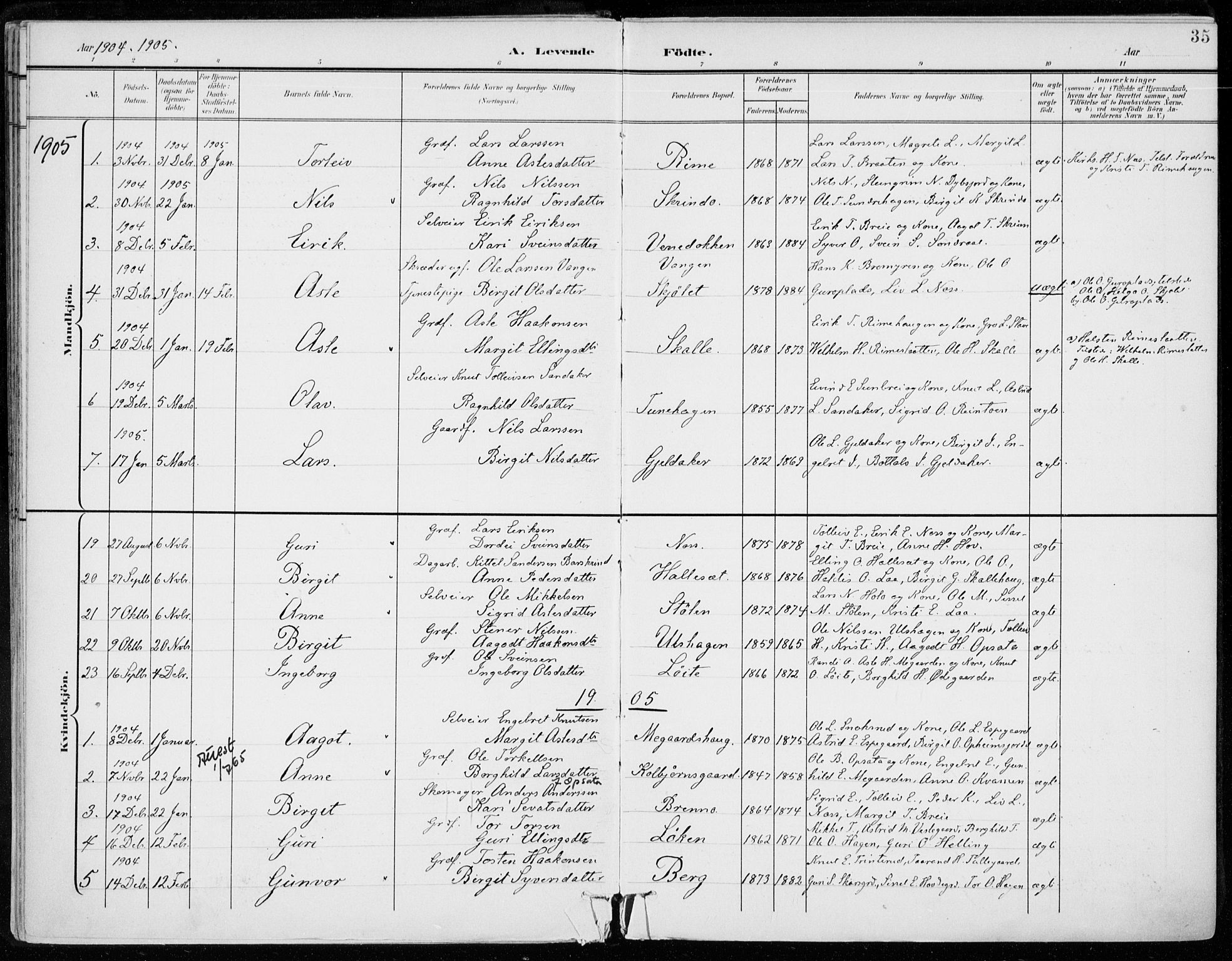 Ål kirkebøker, AV/SAKO-A-249/F/Fa/L0009: Parish register (official) no. I 9, 1897-1915, p. 35