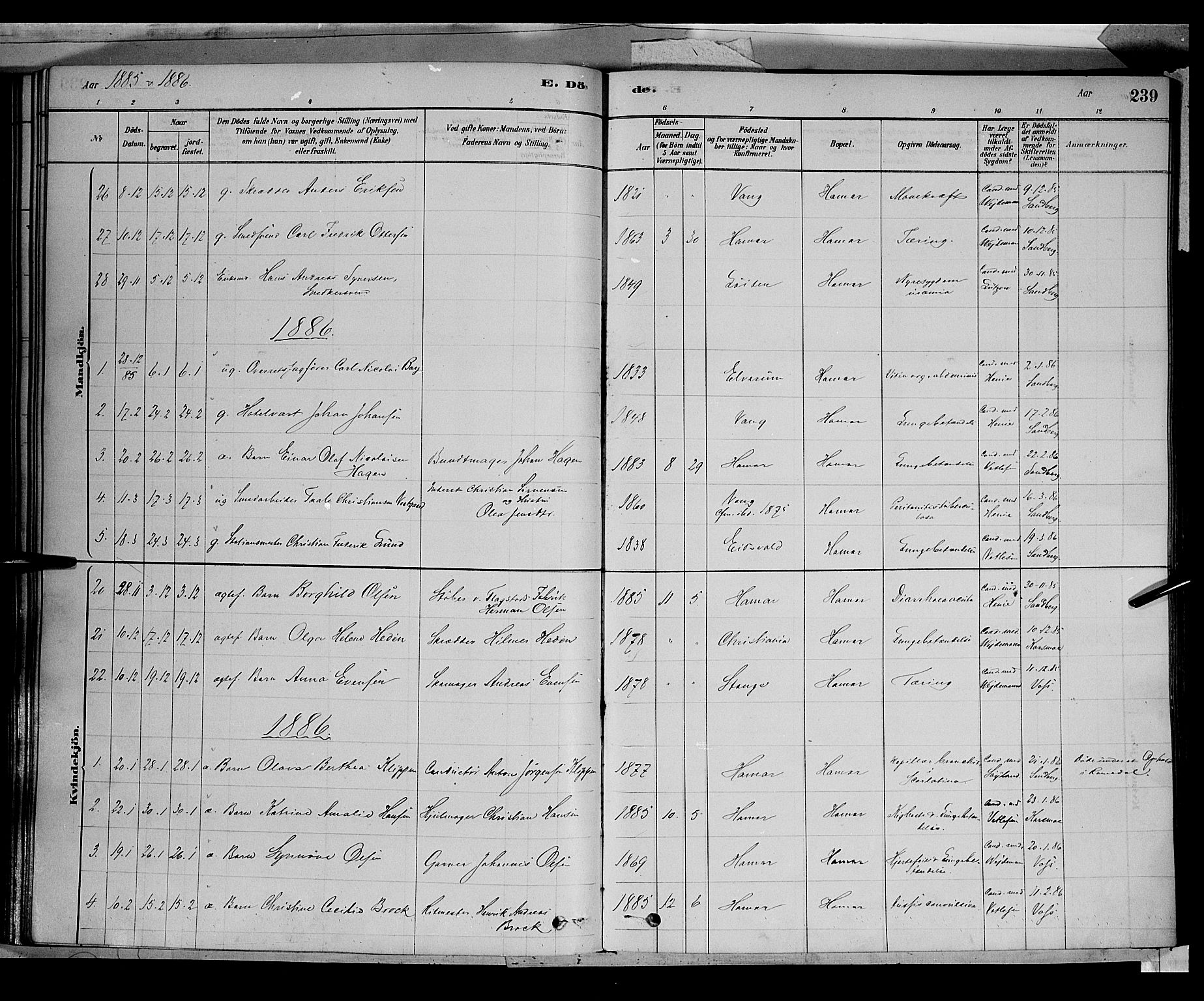 Vang prestekontor, Hedmark, SAH/PREST-008/H/Ha/Haa/L0016: Parish register (official) no. 16, 1878-1889, p. 239