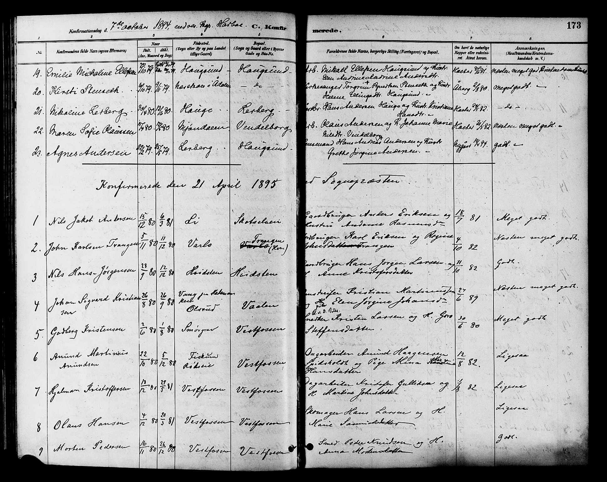 Eiker kirkebøker, SAKO/A-4/F/Fb/L0002: Parish register (official) no. II 2, 1889-1896, p. 173