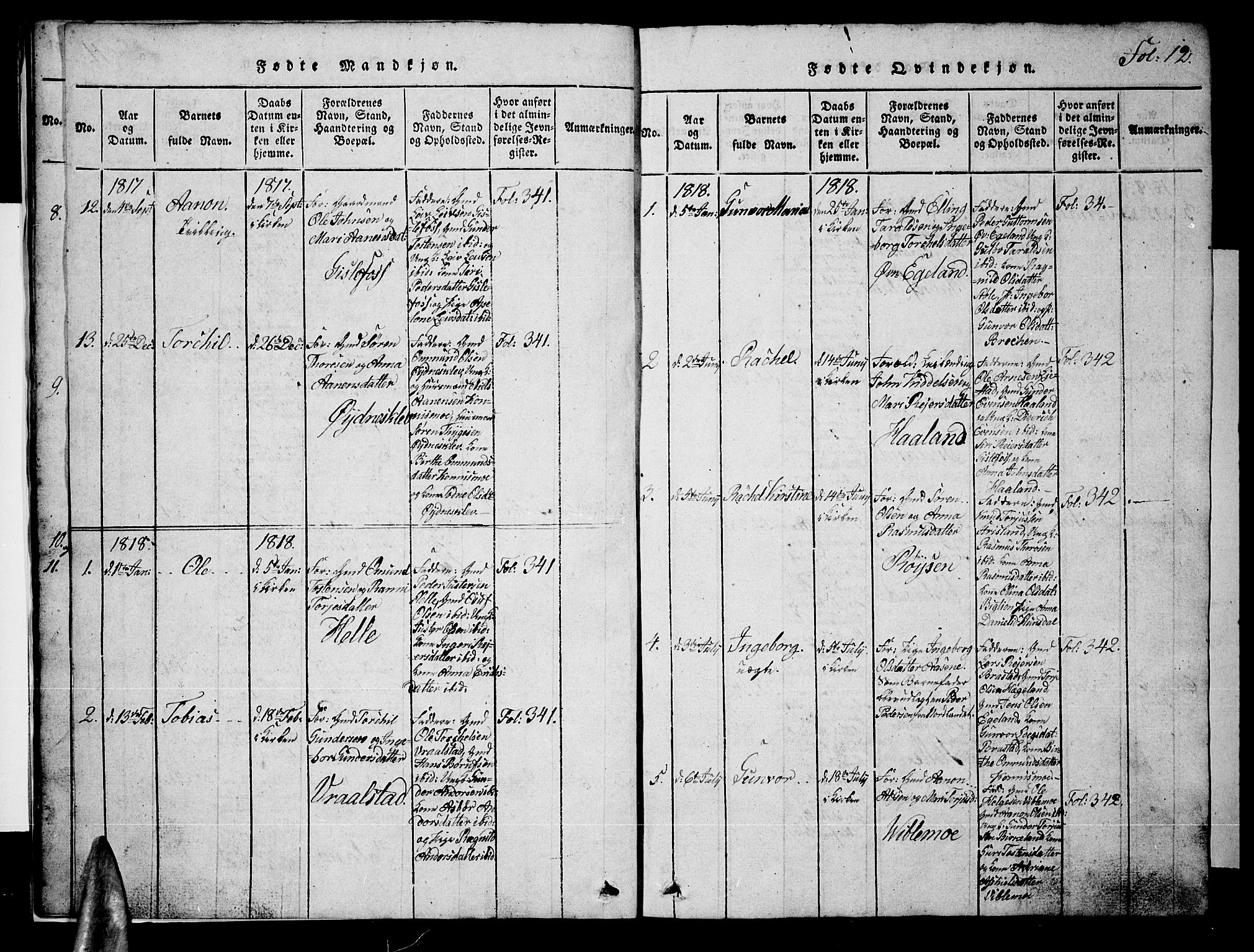 Nord-Audnedal sokneprestkontor, AV/SAK-1111-0032/F/Fb/Fba/L0001: Parish register (copy) no. B 1, 1815-1856, p. 12