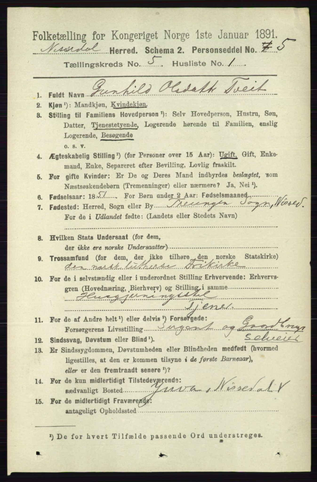 RA, 1891 census for 0830 Nissedal, 1891, p. 1100