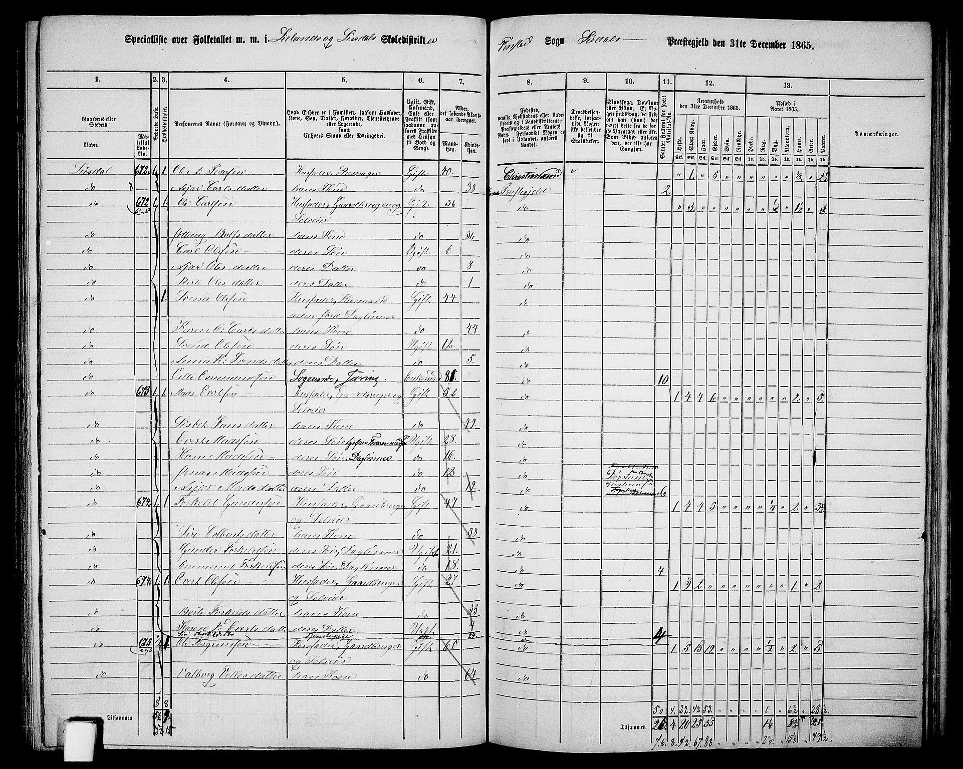 RA, 1865 census for Sirdal, 1865, p. 37