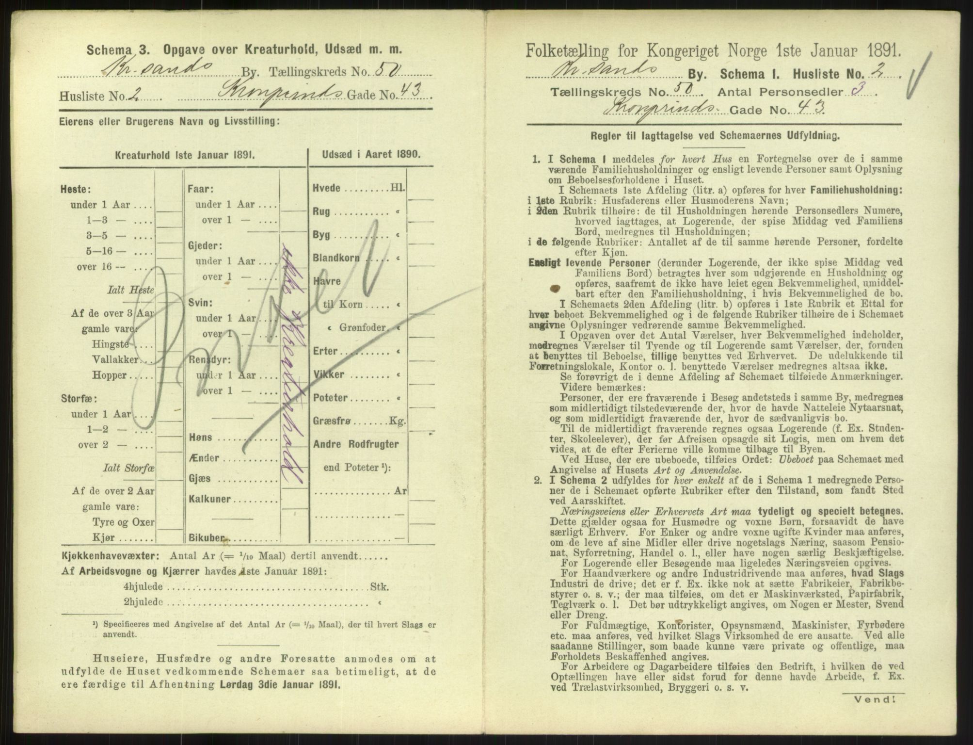 RA, 1891 census for 1001 Kristiansand, 1891, p. 2658