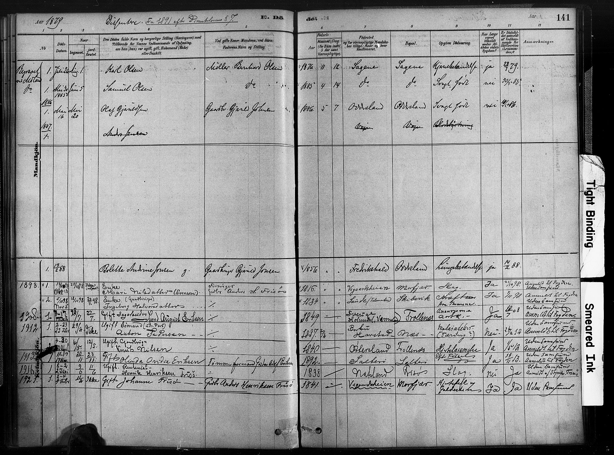 Austre Moland sokneprestkontor, SAK/1111-0001/F/Fa/Fab/L0001: Parish register (official) no. A 1, 1878-1898, p. 141