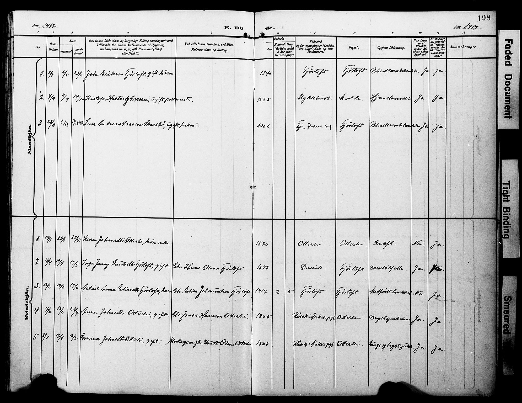 Ministerialprotokoller, klokkerbøker og fødselsregistre - Møre og Romsdal, AV/SAT-A-1454/538/L0524: Parish register (copy) no. 538C02, 1901-1931, p. 198