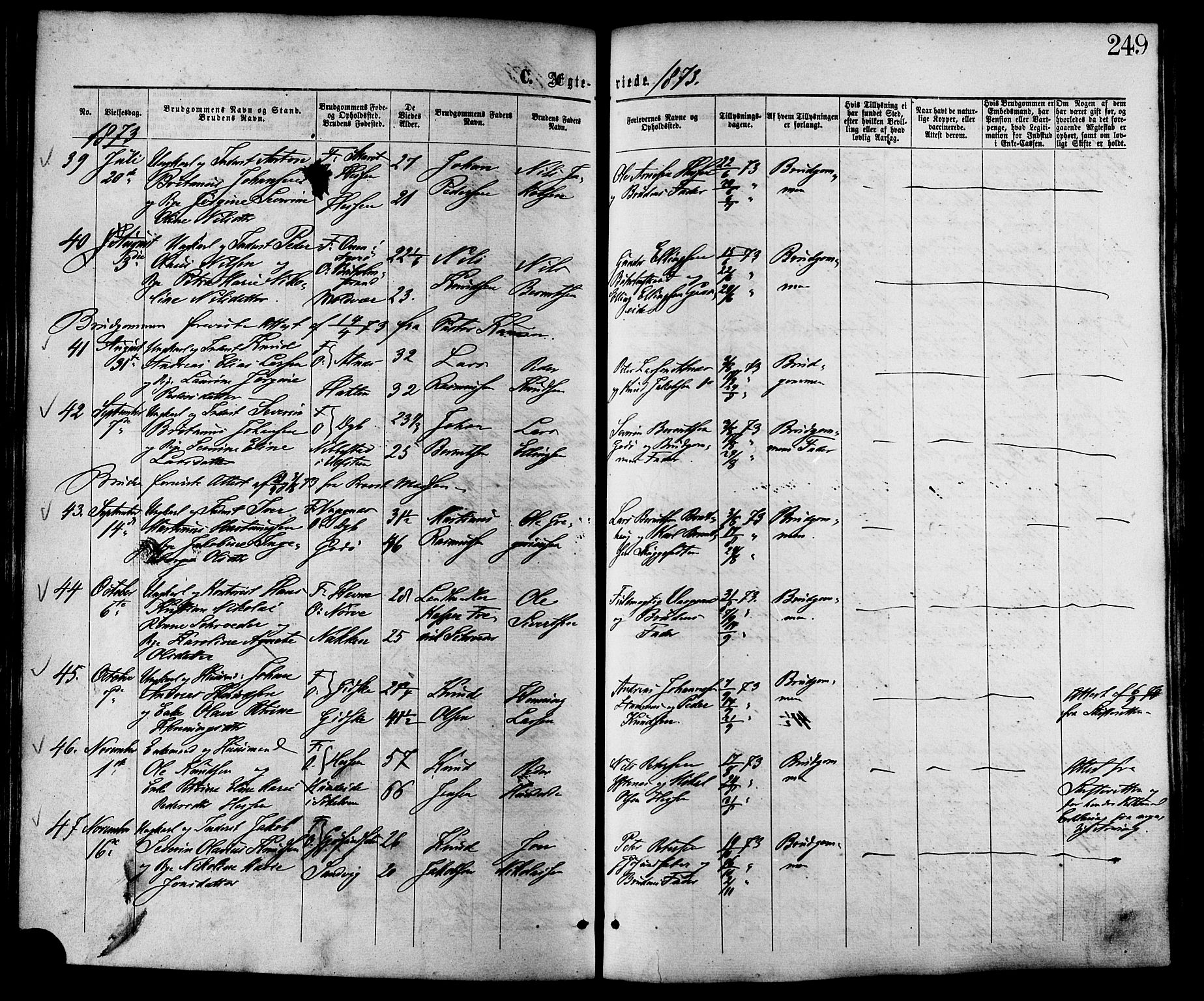 Ministerialprotokoller, klokkerbøker og fødselsregistre - Møre og Romsdal, AV/SAT-A-1454/528/L0399: Parish register (official) no. 528A10, 1864-1879, p. 249