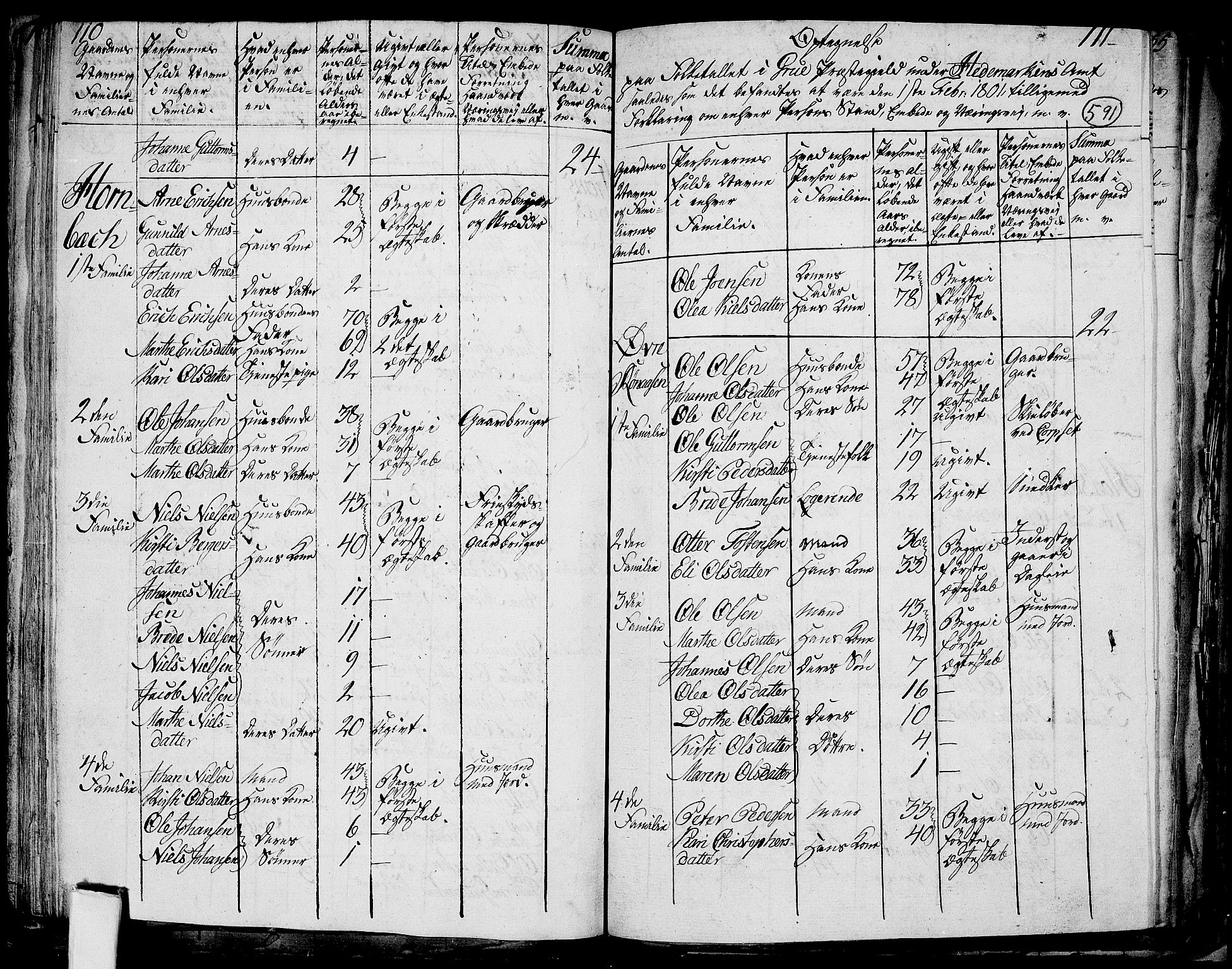 RA, 1801 census for 0423P Grue, 1801, p. 590b-591a