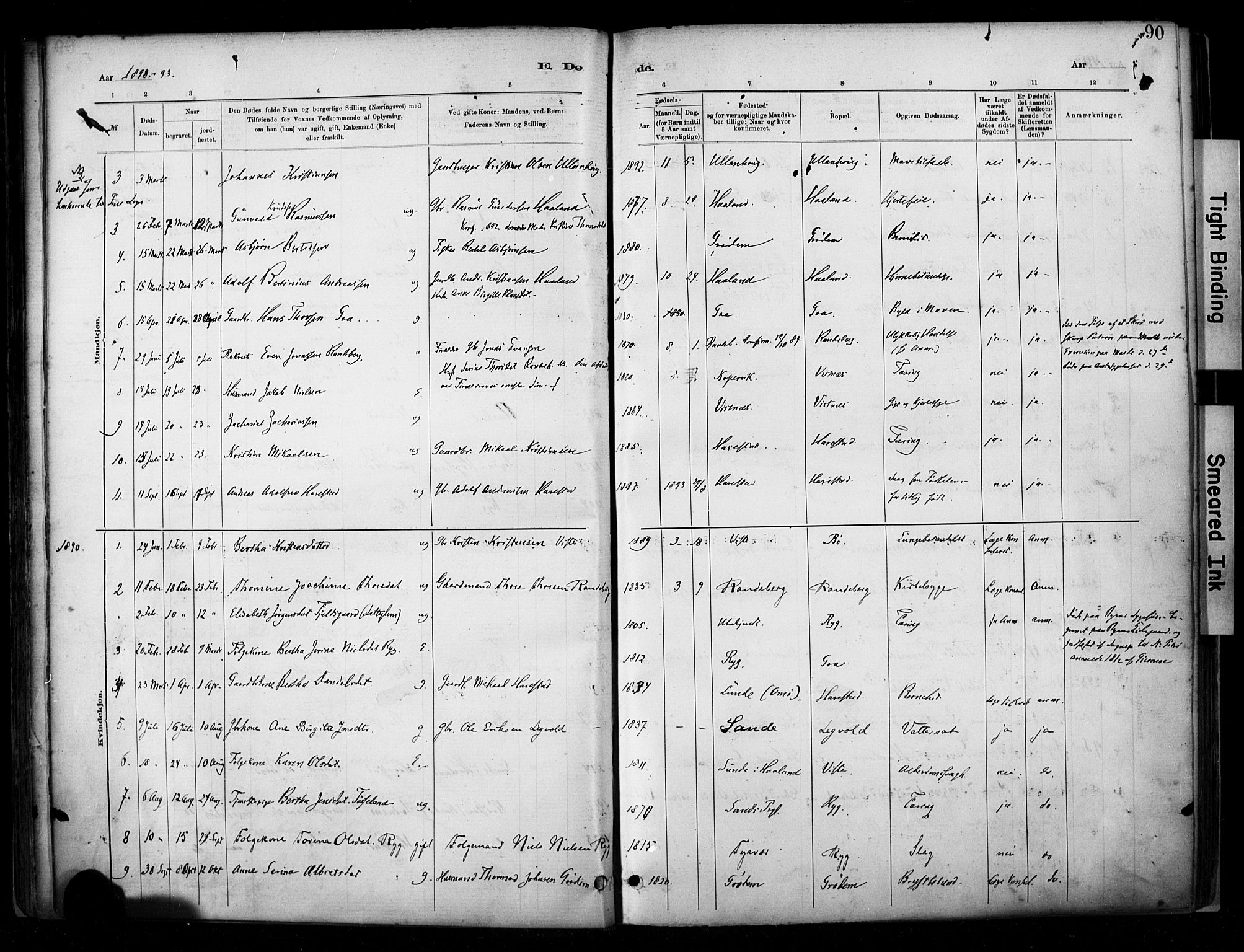 Hetland sokneprestkontor, SAST/A-101826/30/30BA/L0009: Parish register (official) no. A 9, 1882-1918, p. 90