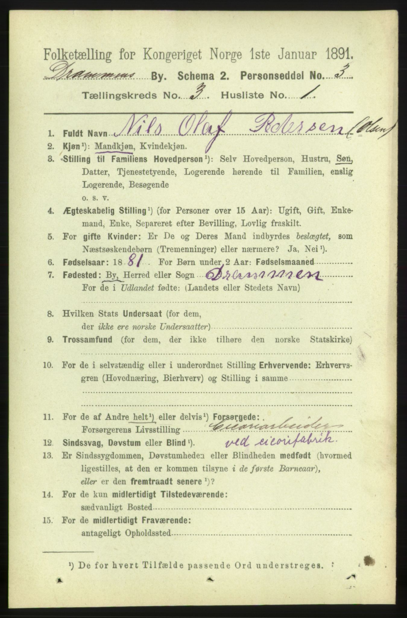 RA, 1891 census for 0602 Drammen, 1891, p. 4908